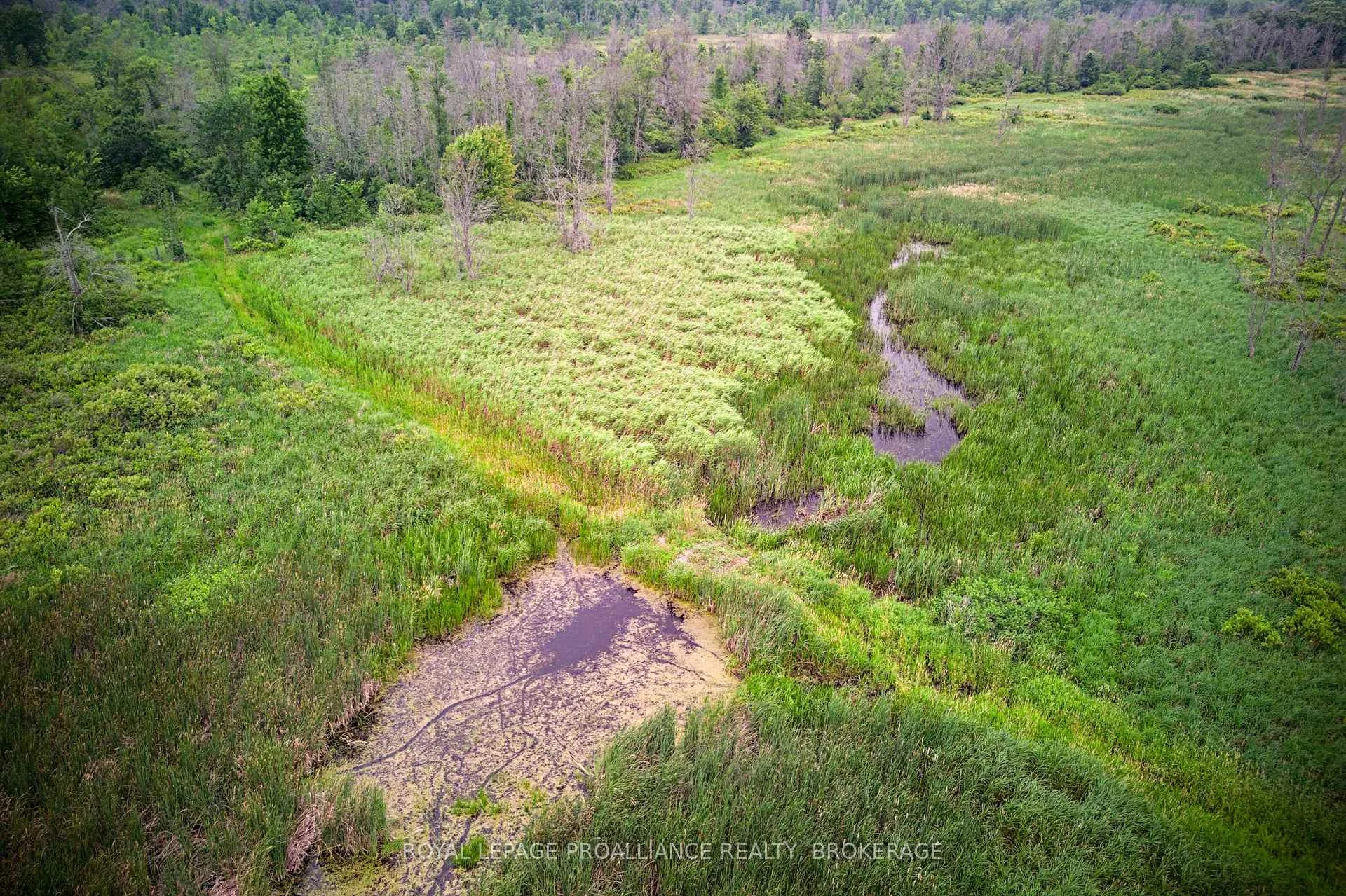 Photo 15 of 68 3rd Concession Road, Frontenac Islands, The Islands — HOMEH