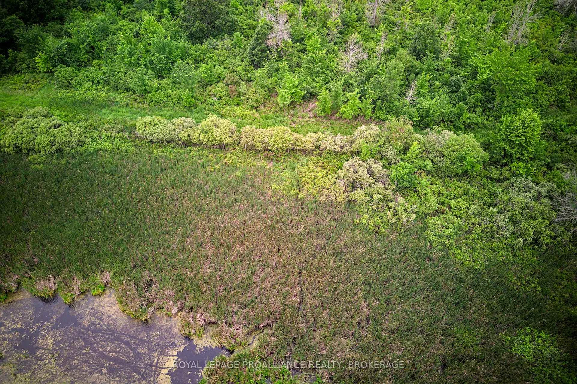 Photo 18 of 68 3rd Concession Road, Frontenac Islands, The Islands — HOMEH