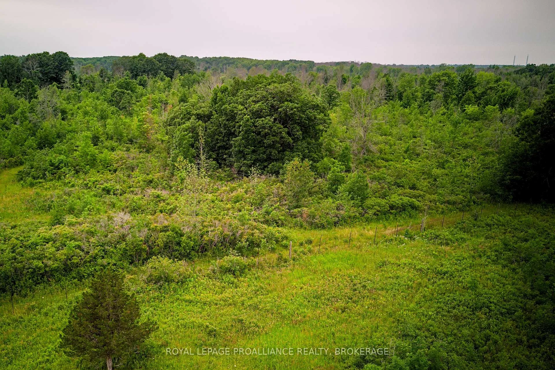 Photo 19 of 68 3rd Concession Road, Frontenac Islands, The Islands — HOMEH