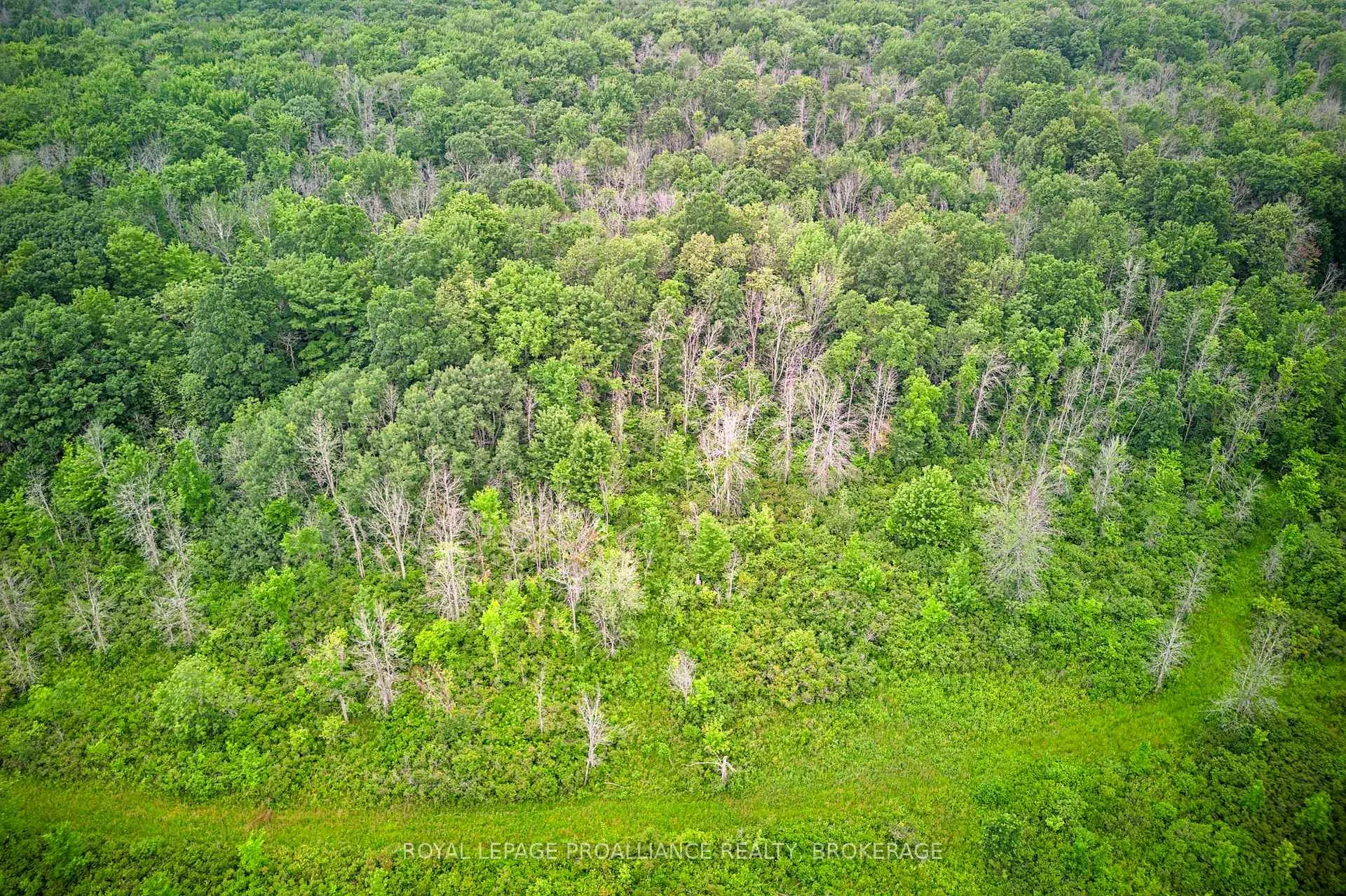Photo 21 of 68 3rd Concession Road, Frontenac Islands, The Islands — HOMEH