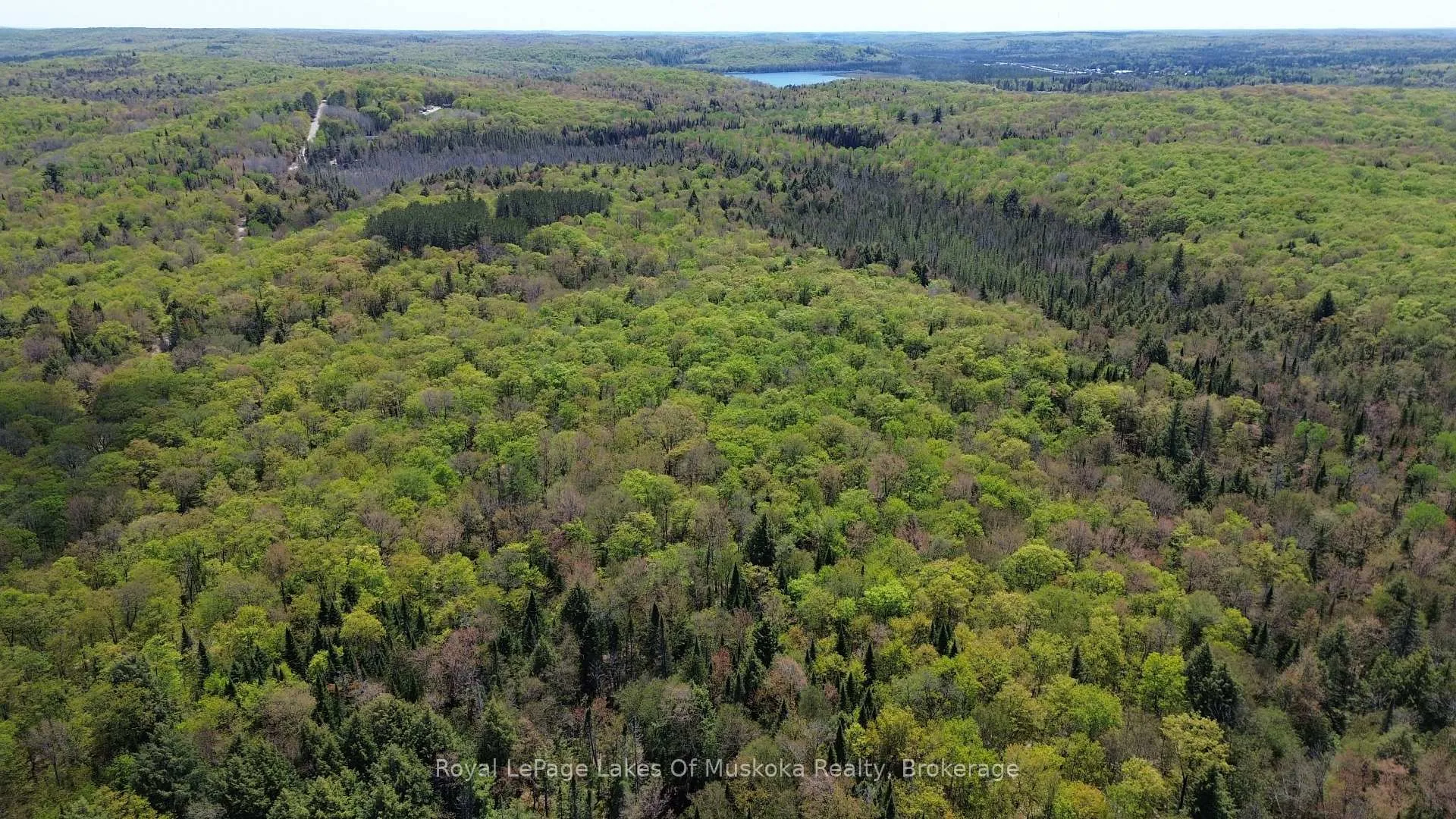 Photo 5 of 386 Locke's Road, Perry, Novar — HOMEH