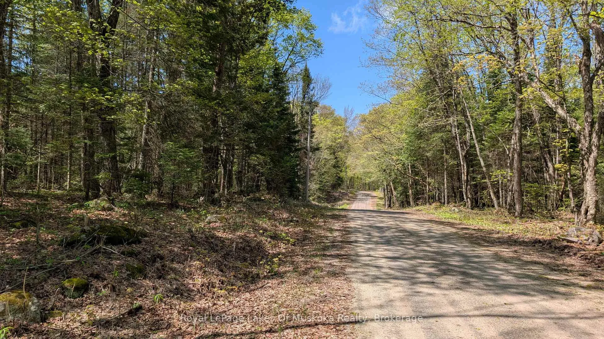 Photo 7 of 386 Locke's Road, Perry, Novar — HOMEH