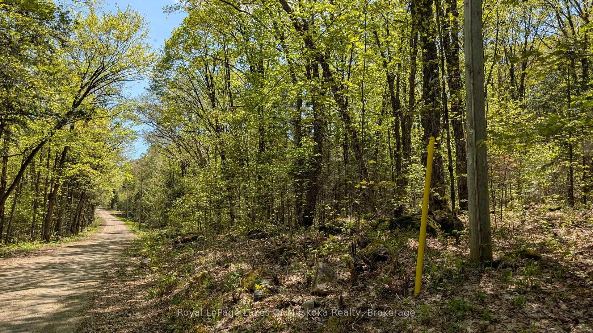 Photo 8 of 386 Locke's Road, Perry, Novar — HOMEH