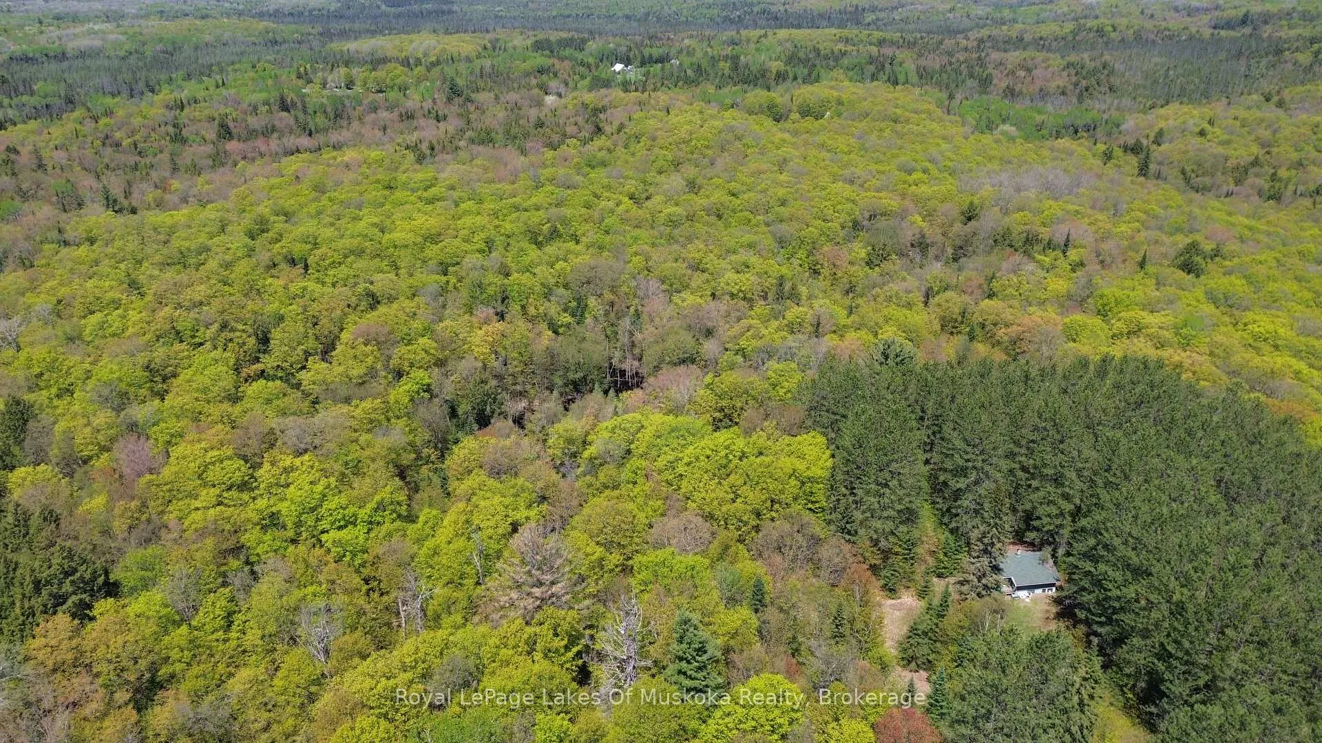 Photo 21 of 386 Locke's Road, Perry, Novar — HOMEH