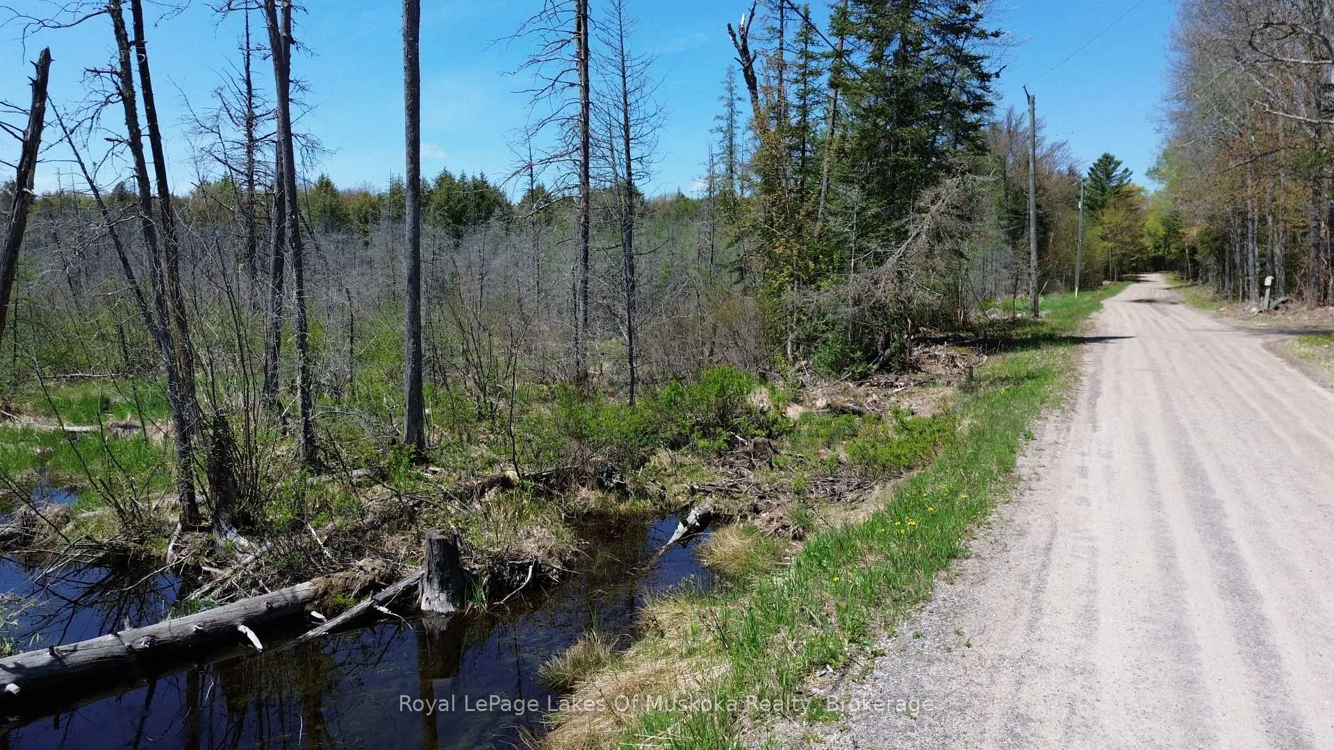 Photo 25 of 386 Locke's Road, Perry, Novar — HOMEH