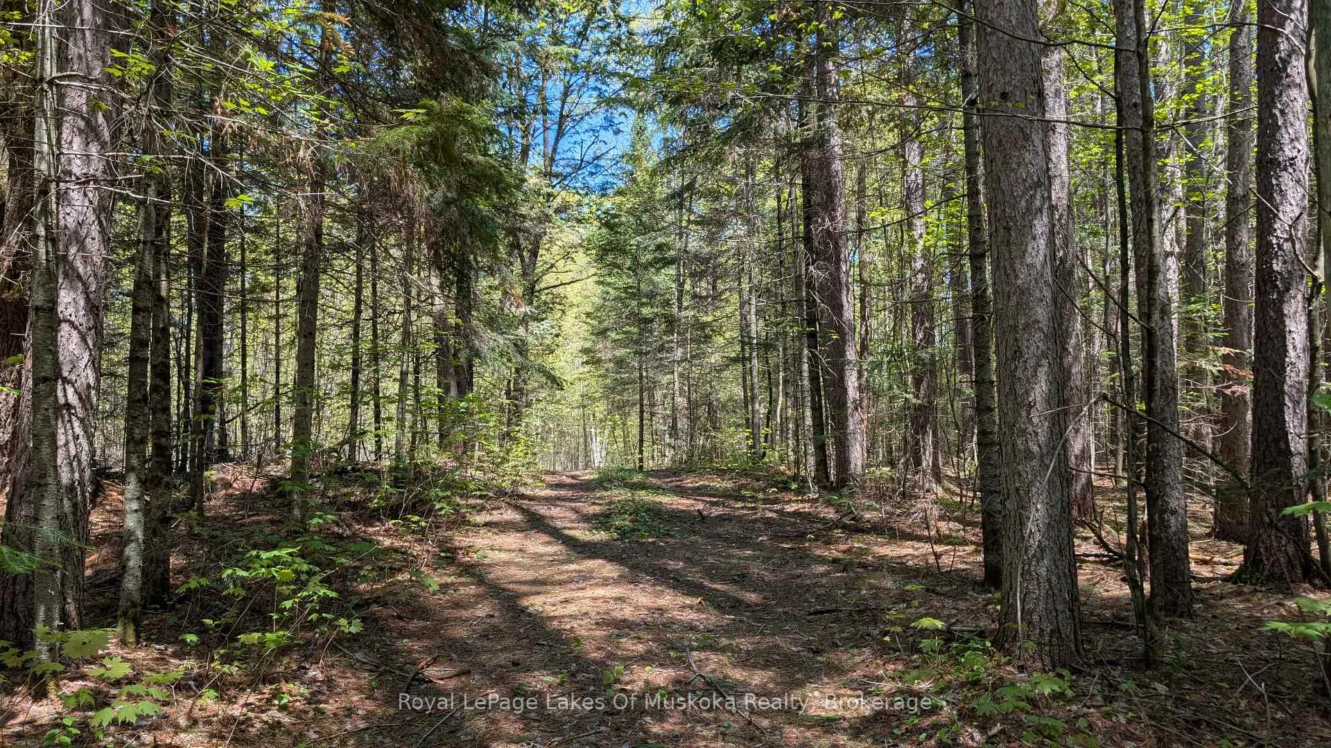 Photo 26 of 386 Locke's Road, Perry, Novar — HOMEH