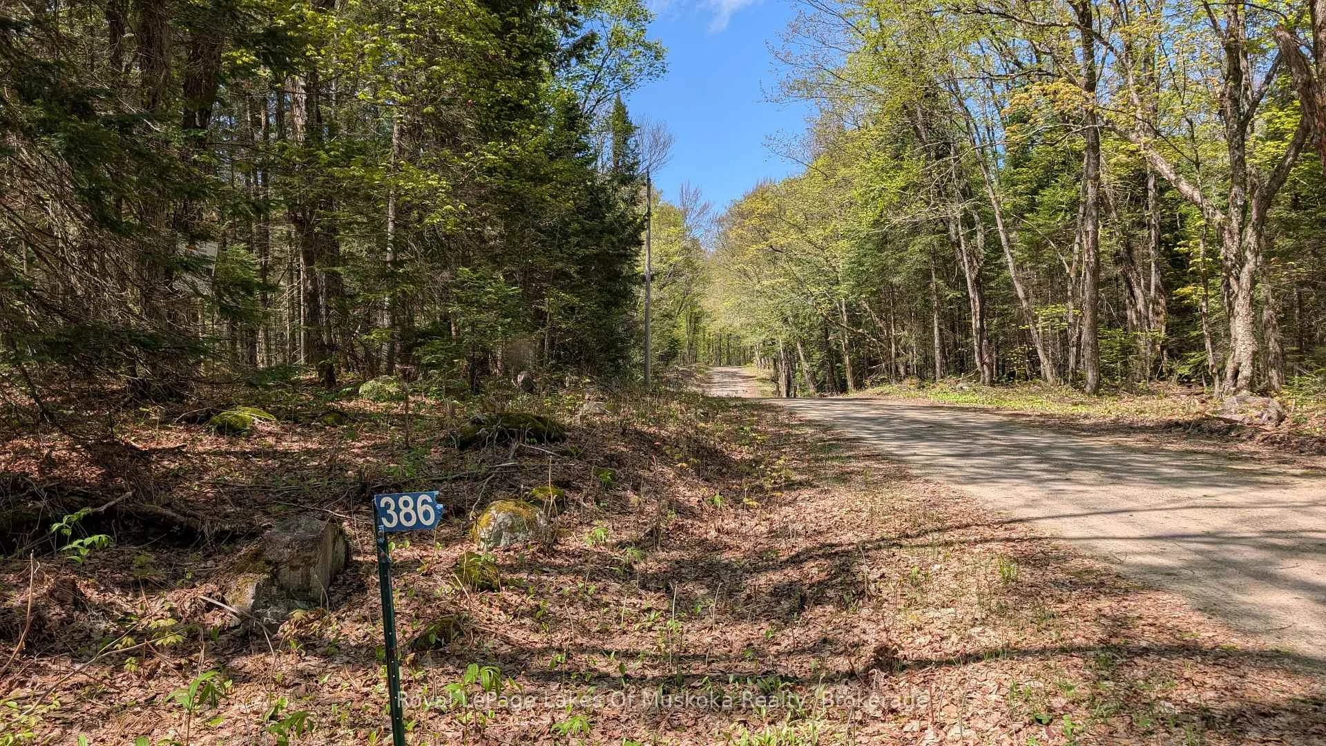 Photo 3 of 386 Locke's Road, Perry, Novar — HOMEH