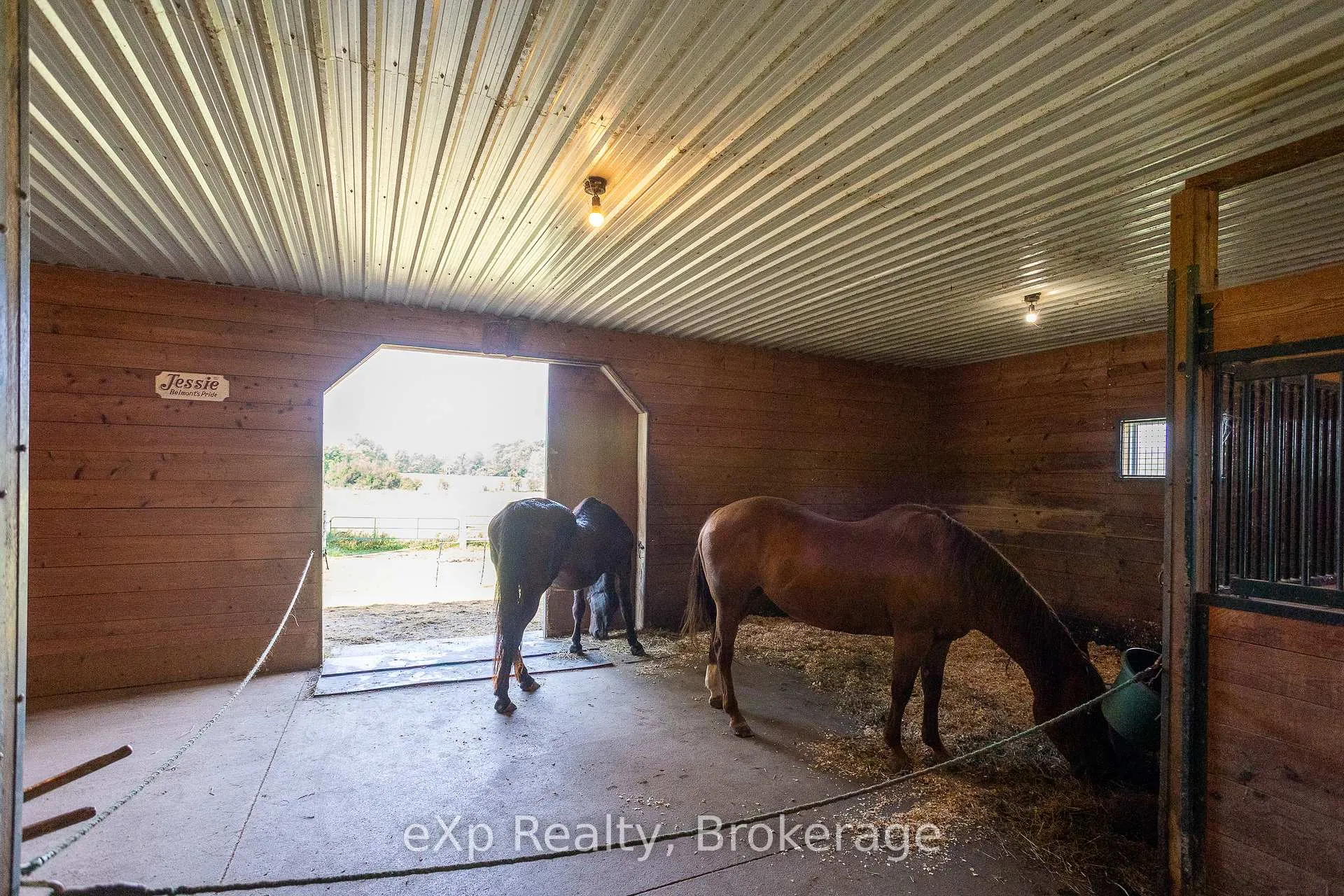 Photo 38 of 116826 Grey Road 3, Chatsworth — HOMEH
