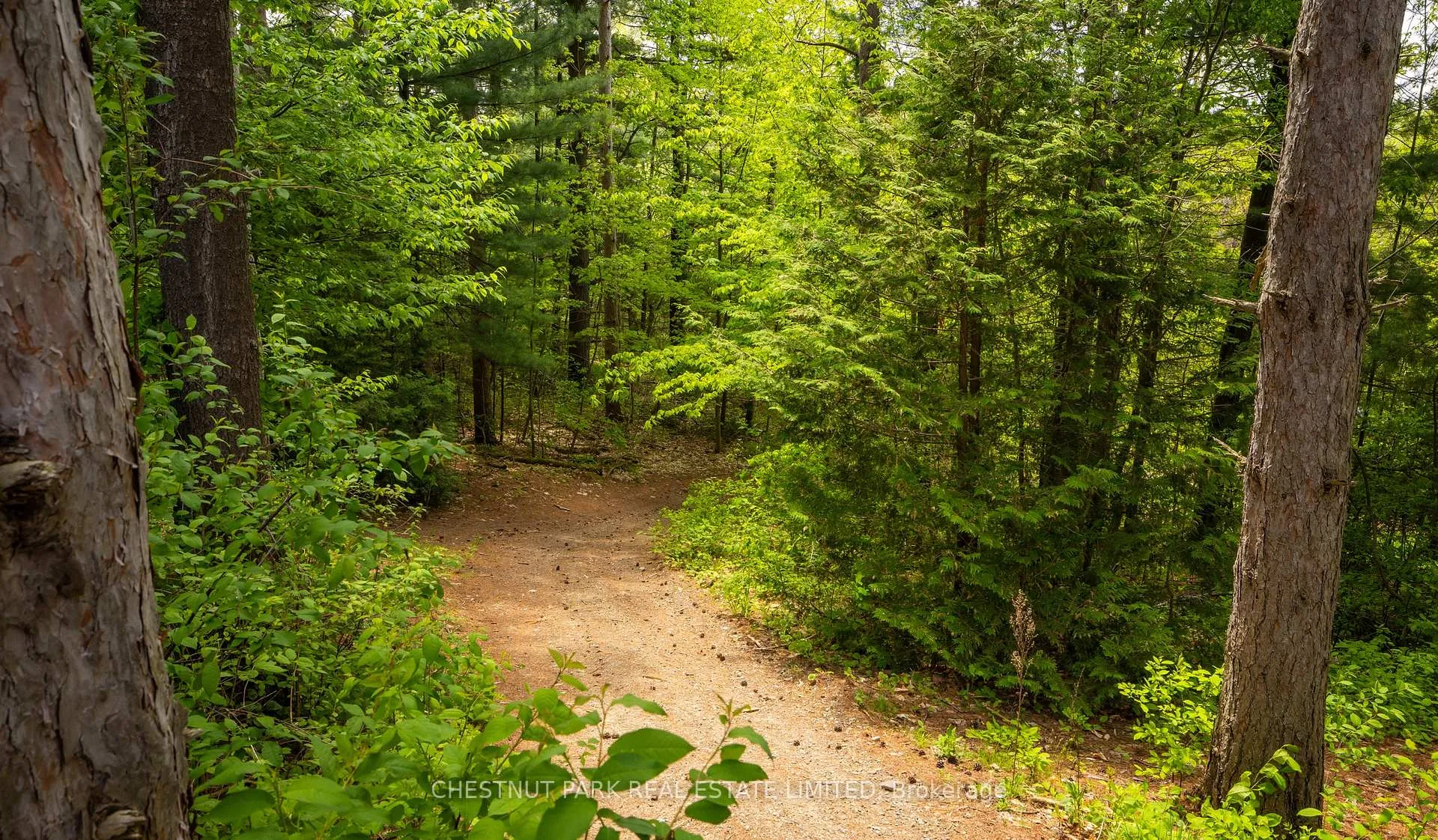 Photo 46 of 2696 Concession Rd 3, Adjala-Tosorontio, Rural Adjala-Tosorontio — HOMEH