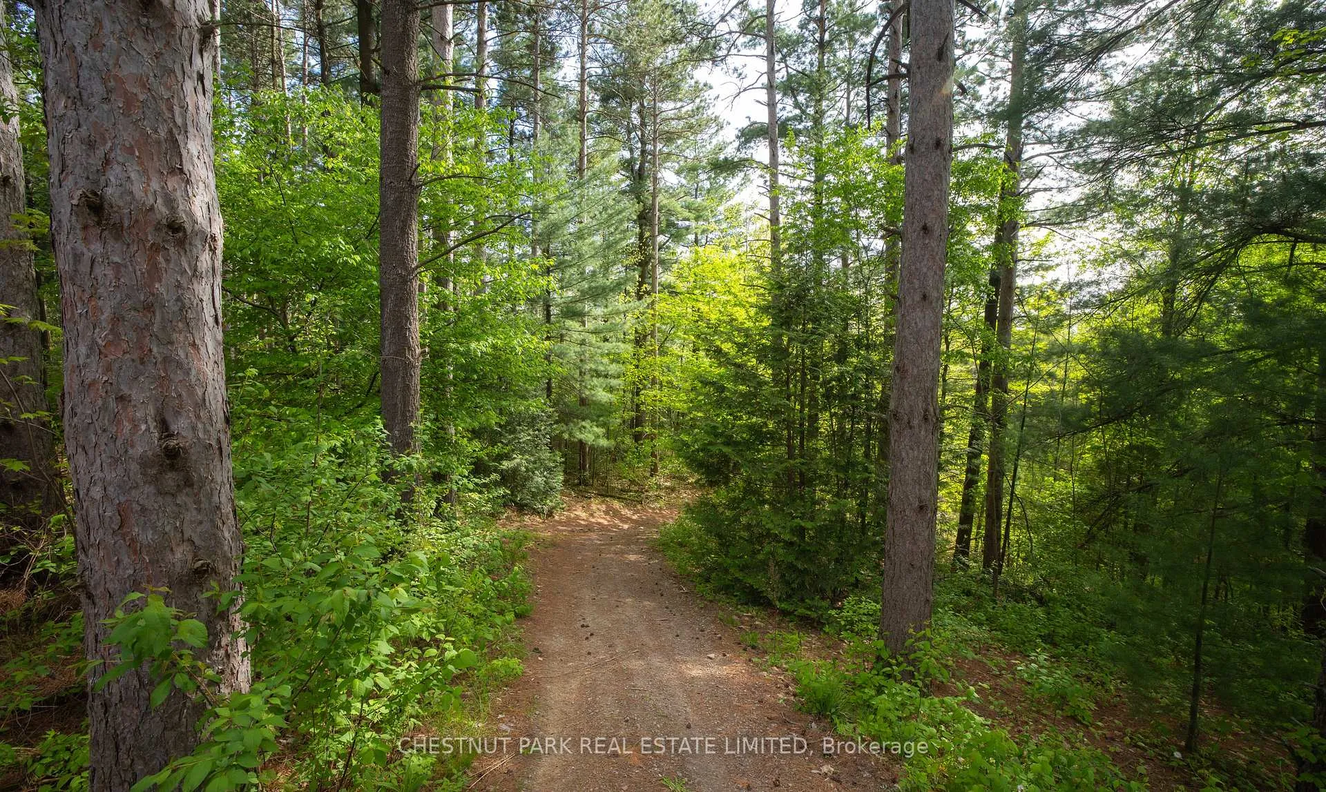 Photo 47 of 2696 Concession Rd 3, Adjala-Tosorontio, Rural Adjala-Tosorontio — HOMEH