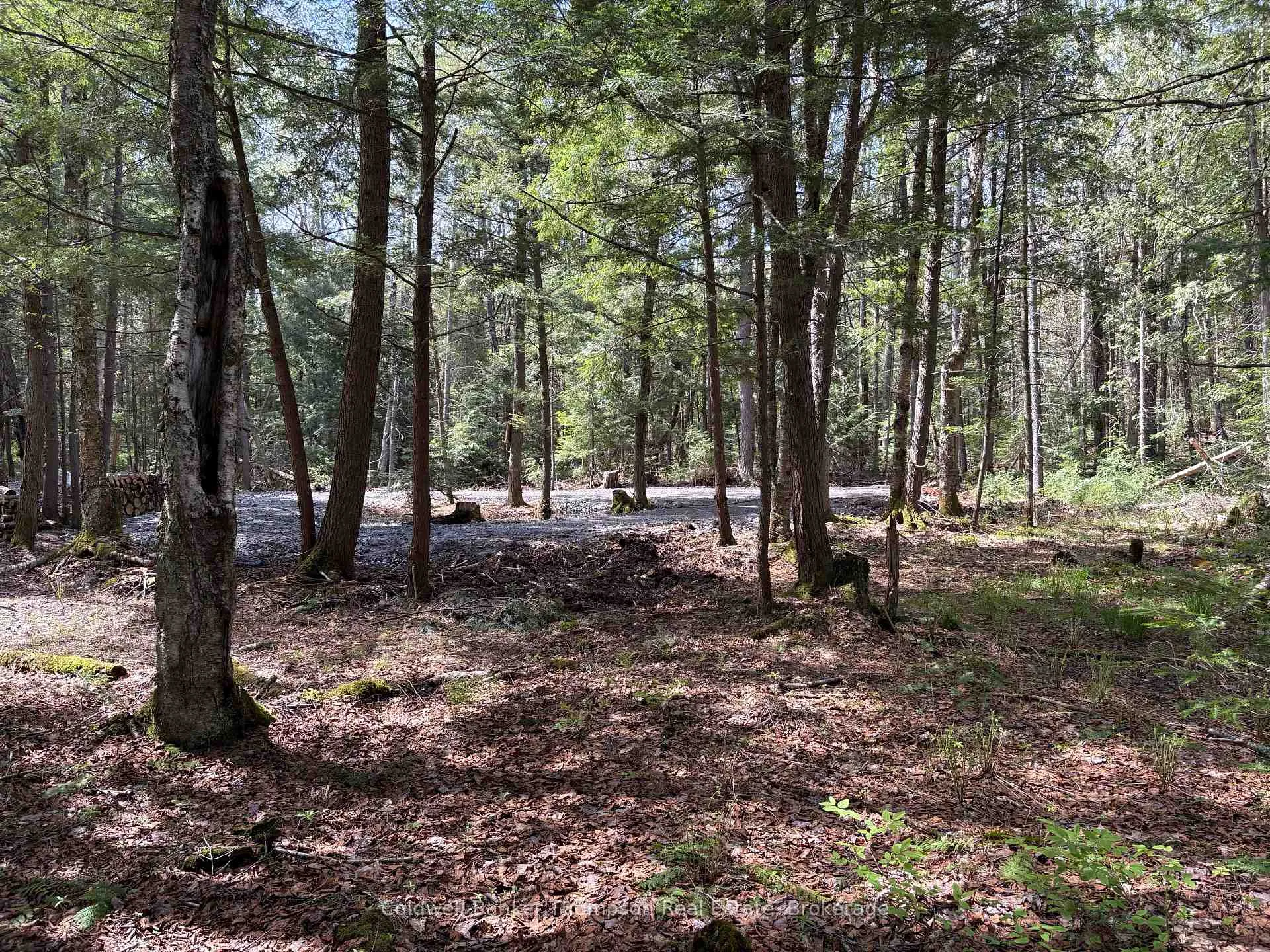 Photo 2 of 76 Rocky Road, Magnetawan — HOMEH