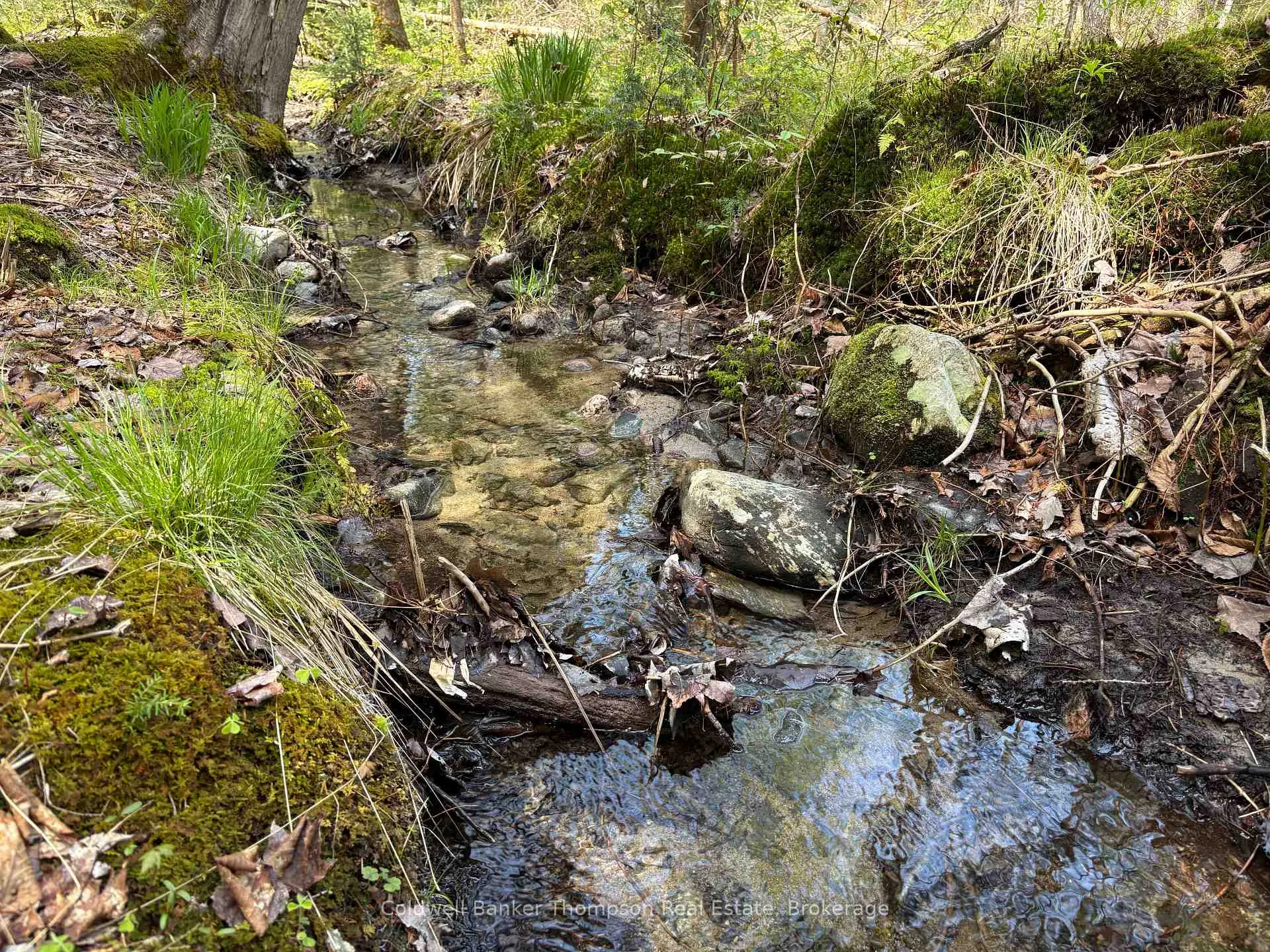 Photo 3 of 76 Rocky Road, Magnetawan — HOMEH