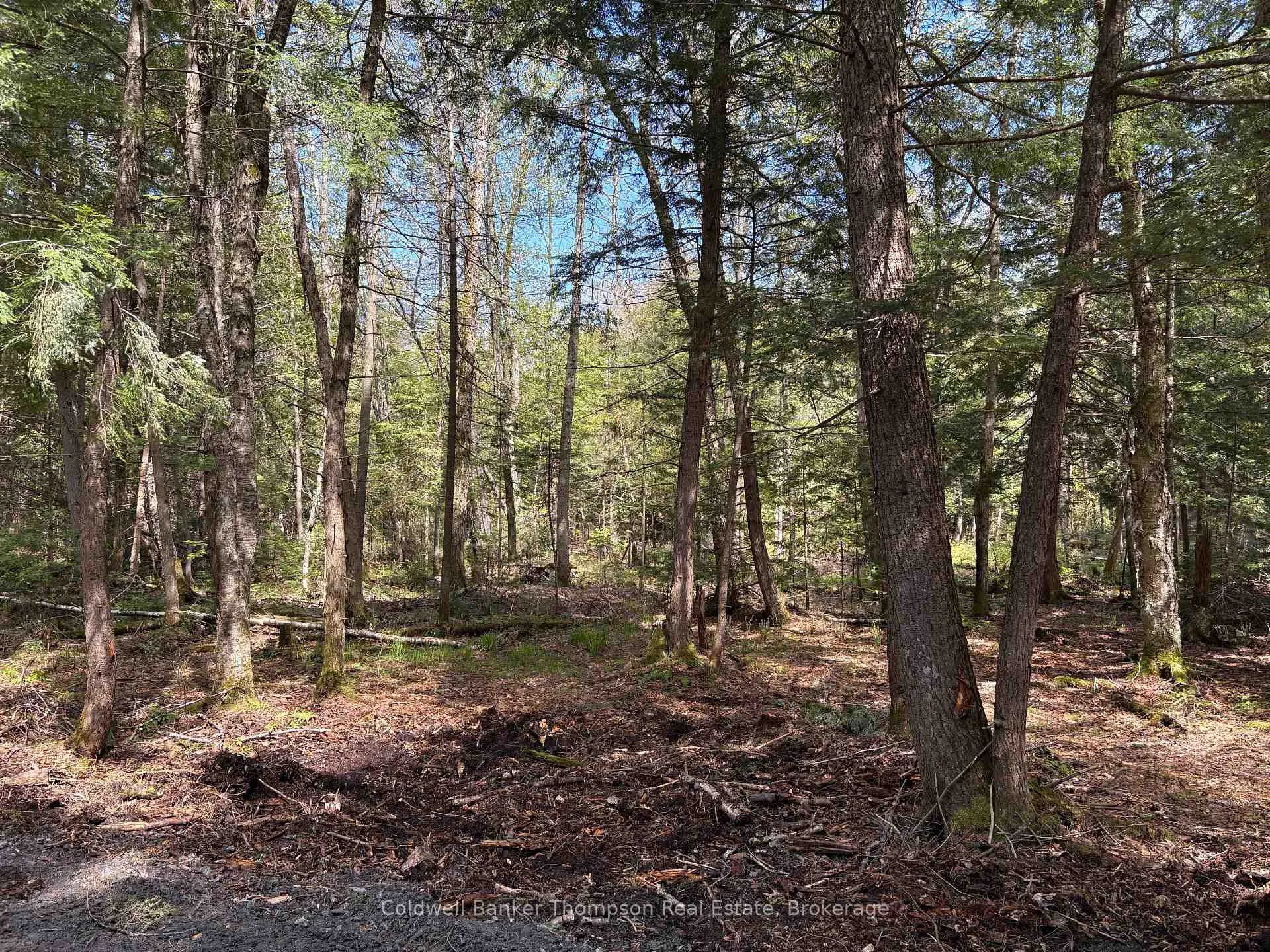 Photo 4 of 76 Rocky Road, Magnetawan — HOMEH