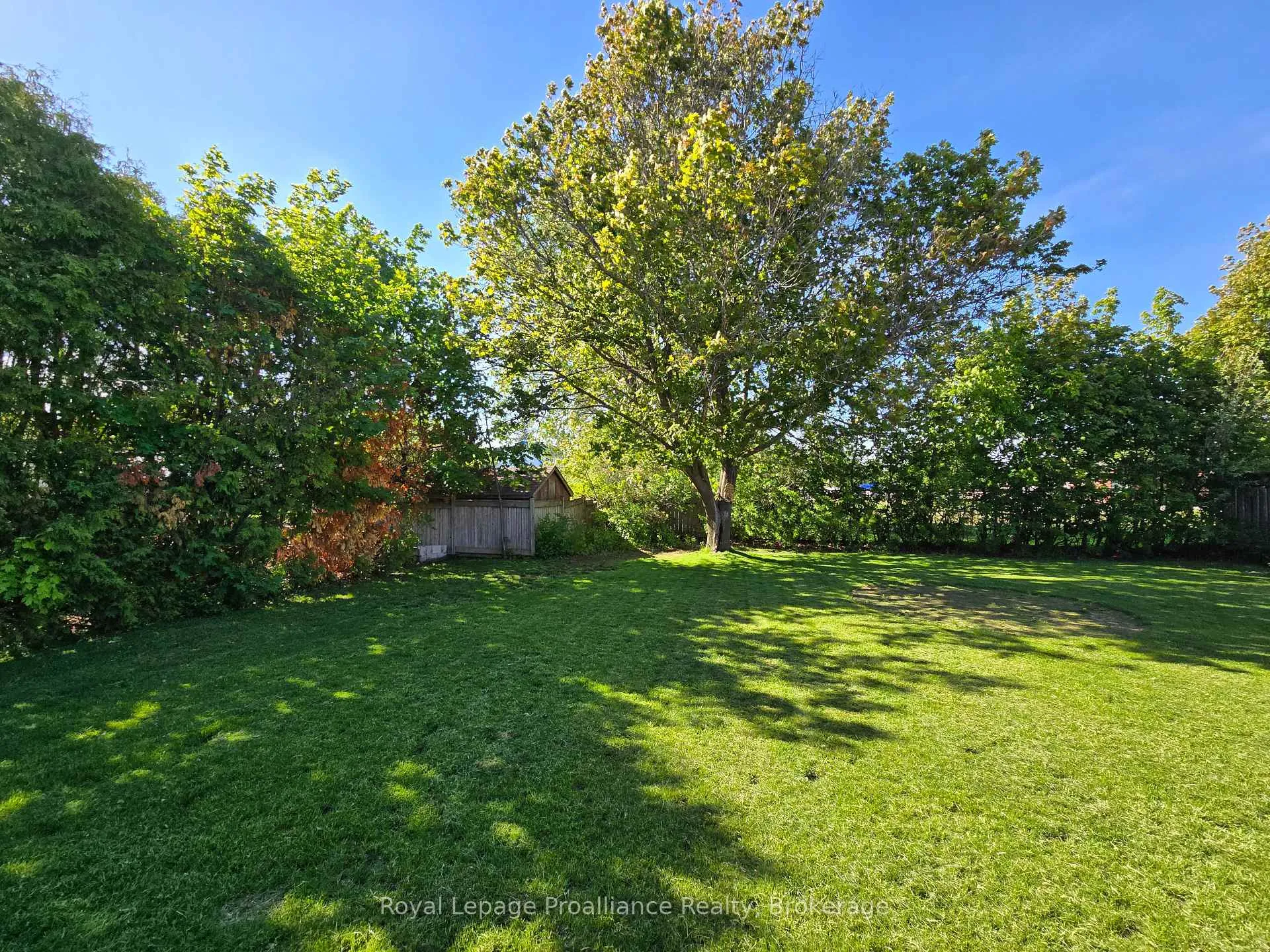 Photo 19 of 16 Auburn Street, Belleville, Belleville Ward — HOMEH