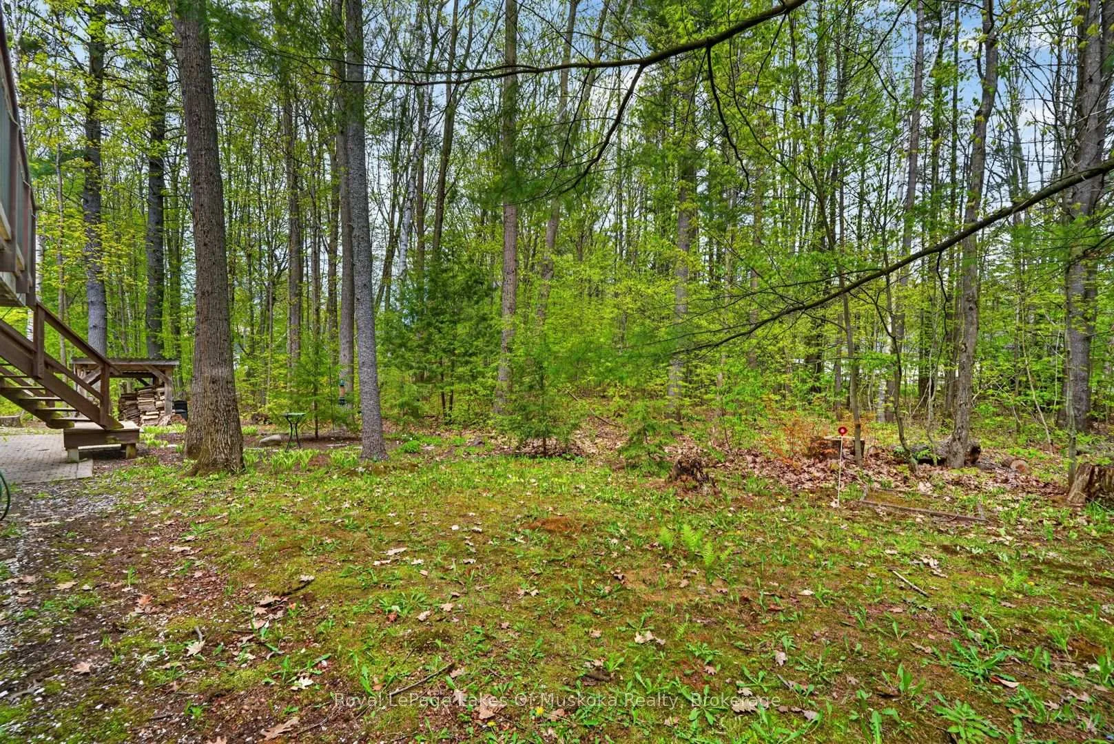 Photo 44 of 19 The Granite Bluff, Bracebridge, Macaulay — HOMEH