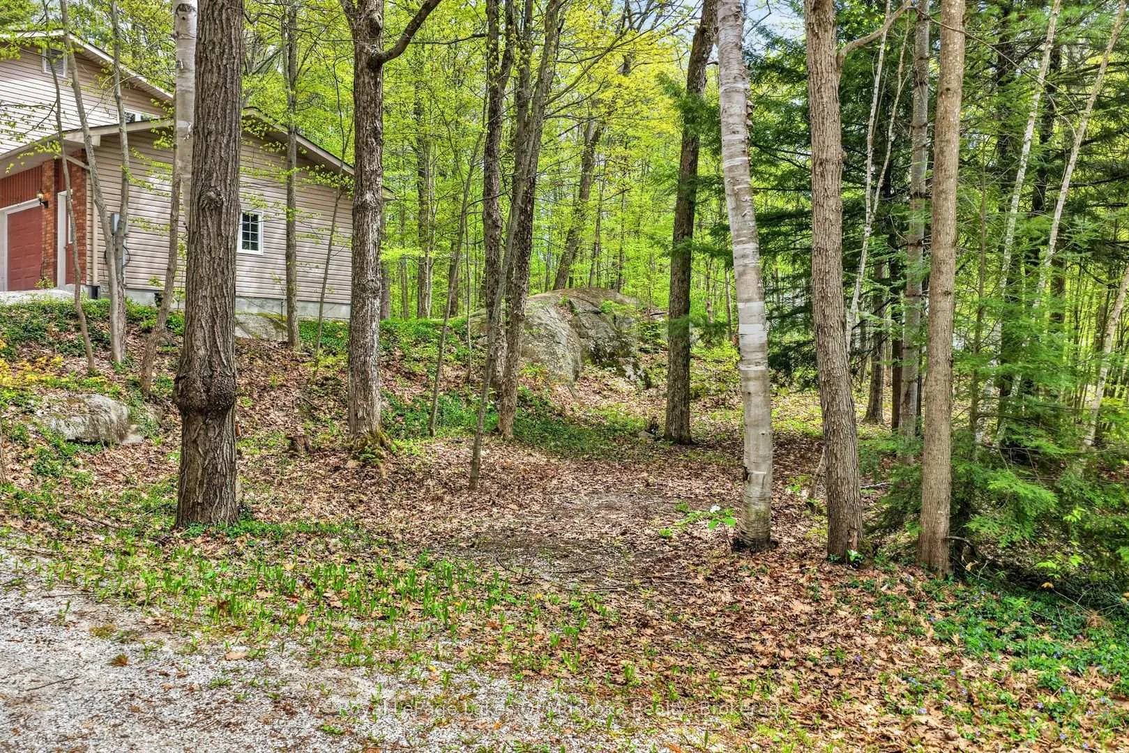 Photo 50 of 19 The Granite Bluff, Bracebridge, Macaulay — HOMEH