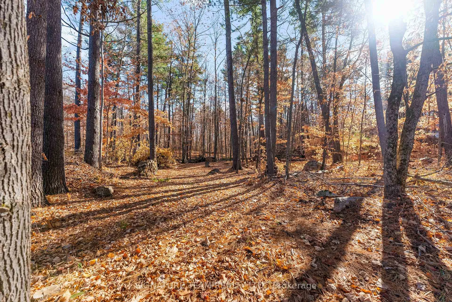 Photo 20 of 368 B Rocky Point Drive, Bonnechere Valley, Eganville/Bonnechere Twp — HOMEH