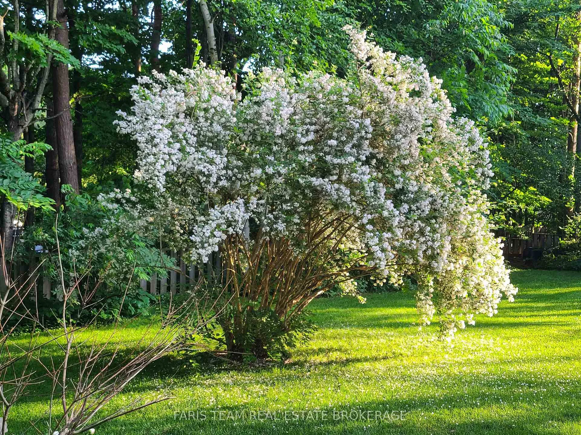 Photo 47 of 21 Pooles Road, Springwater, Midhurst — HOMEH