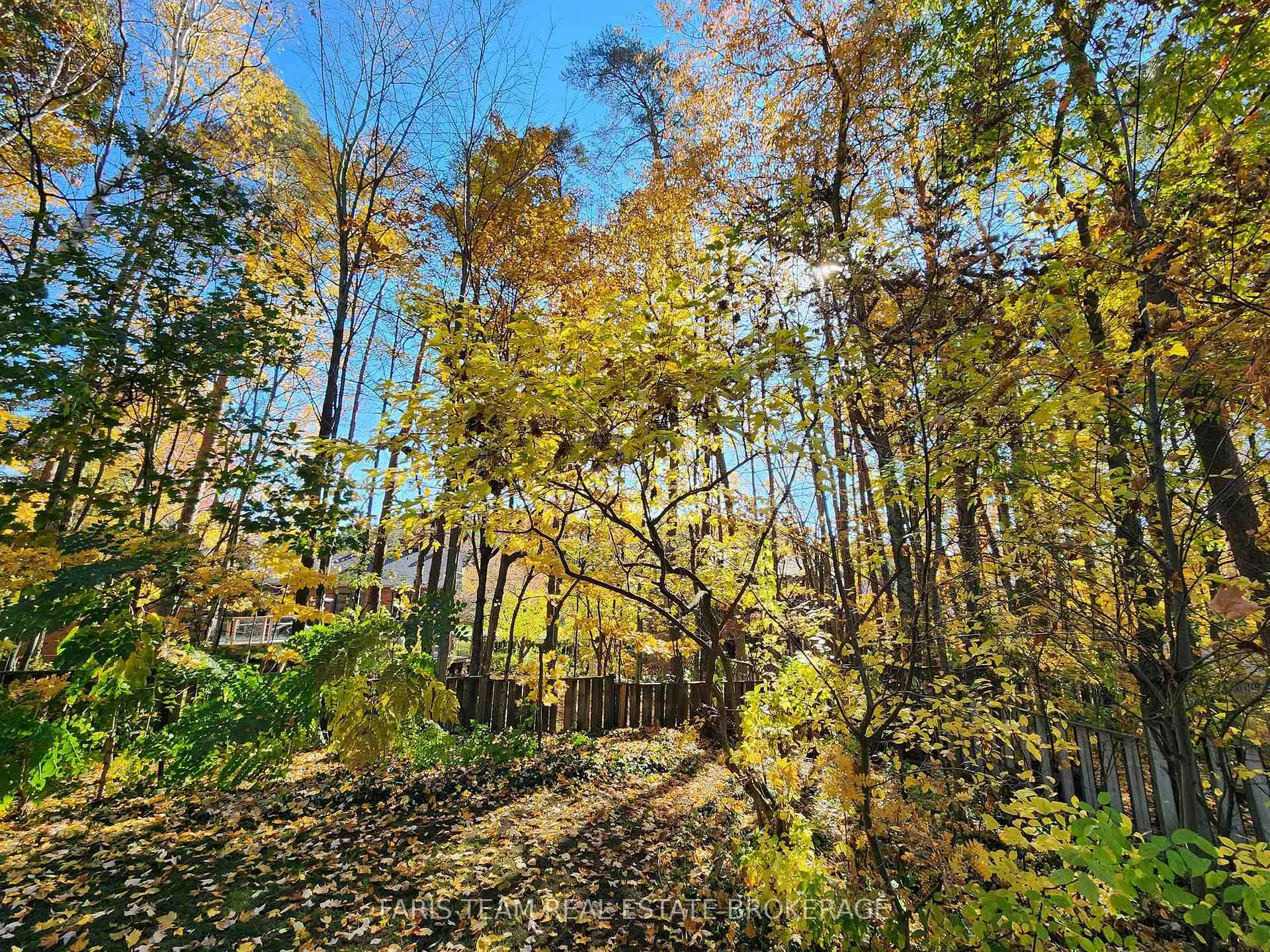 Photo 50 of 21 Pooles Road, Springwater, Midhurst — HOMEH