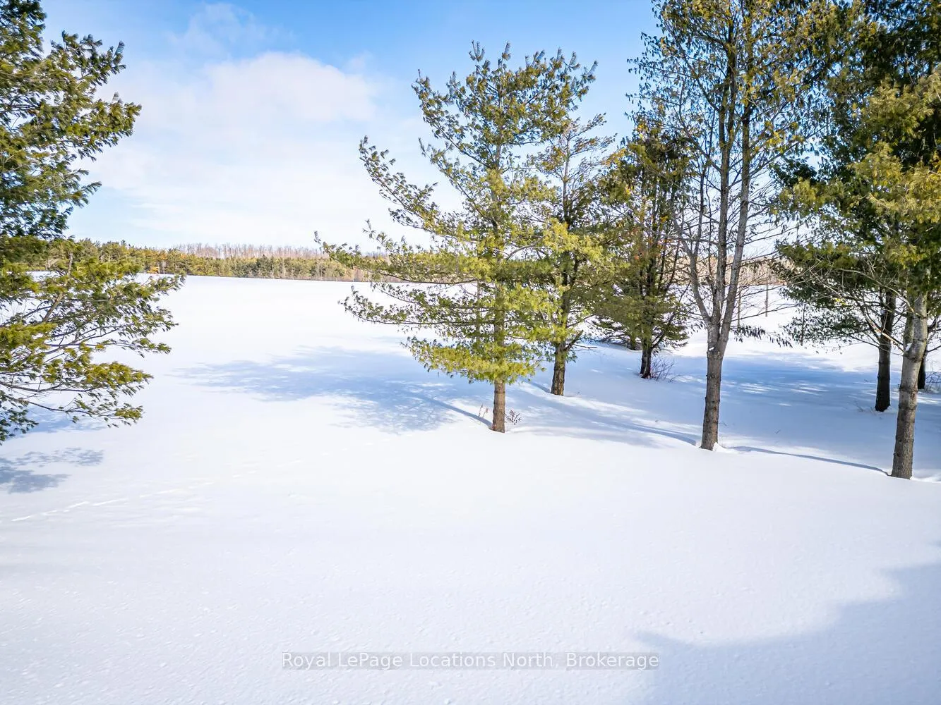 Photo 48 of 1092 County Road 124, Clearview, Singhampton — HOMEH