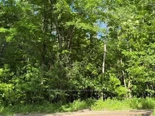 Photo 3 of B2 Pipeline Road, Cramahe, Rural Cramahe — HOMEH