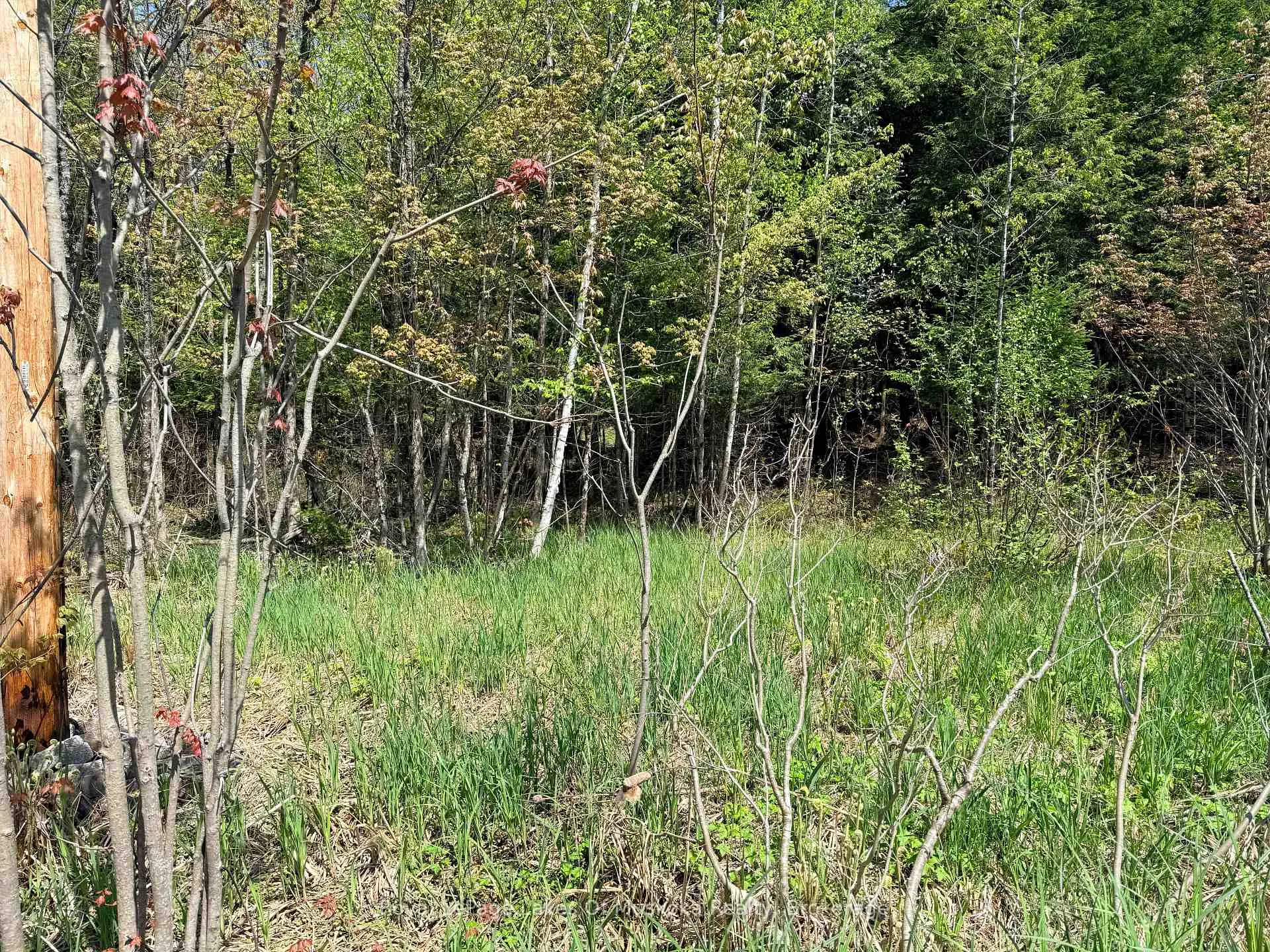 Photo 2 of 000 Fourwheel Drive, Gravenhurst, Wood (Gravenhurst) — HOMEH