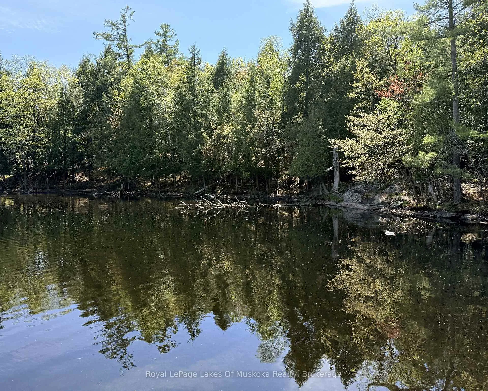 Photo 4 of 000 Fourwheel Drive, Gravenhurst, Wood (Gravenhurst) — HOMEH