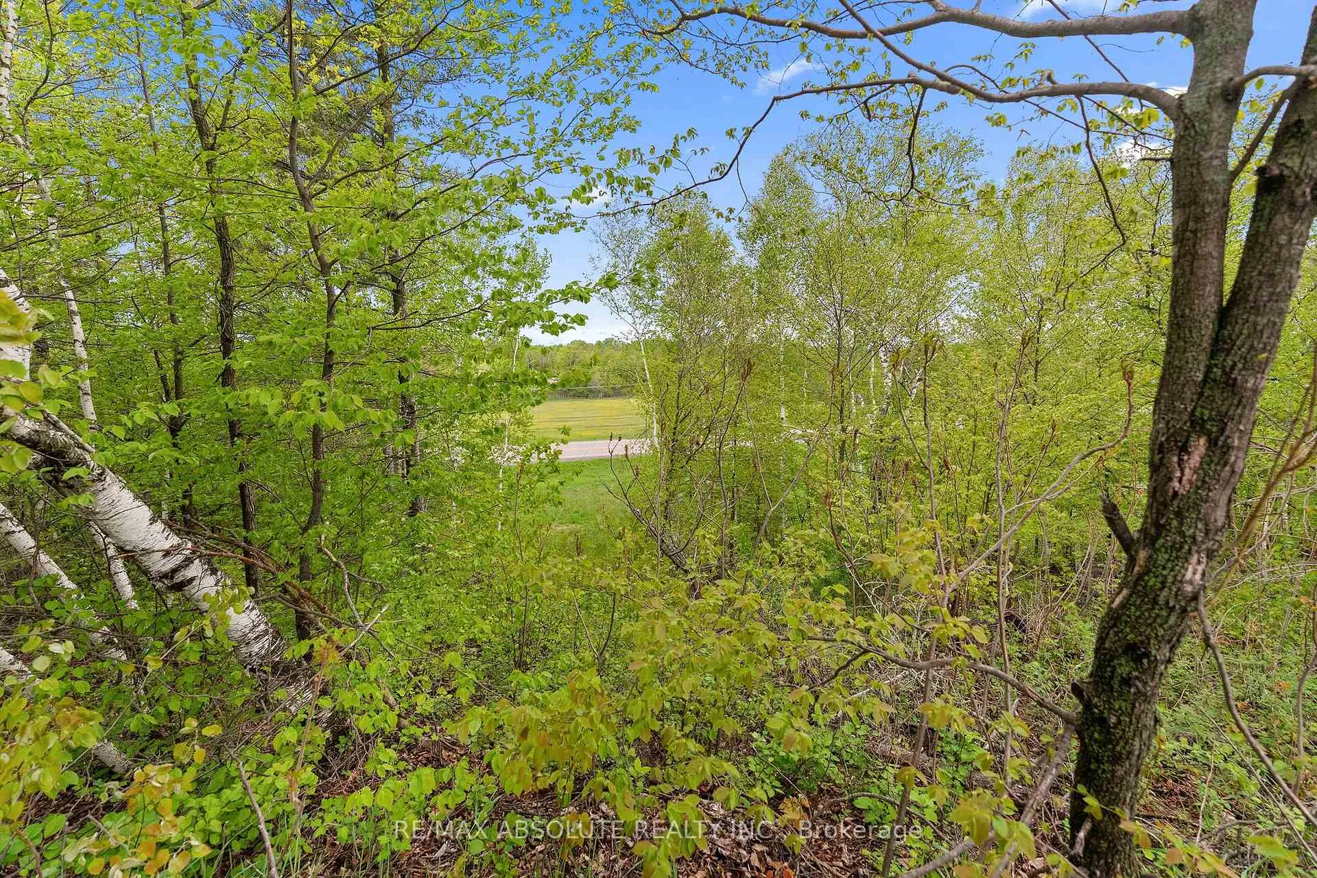 Photo 6 of 6 Lowe Court, Whitewater Region, Beachburg — HOMEH
