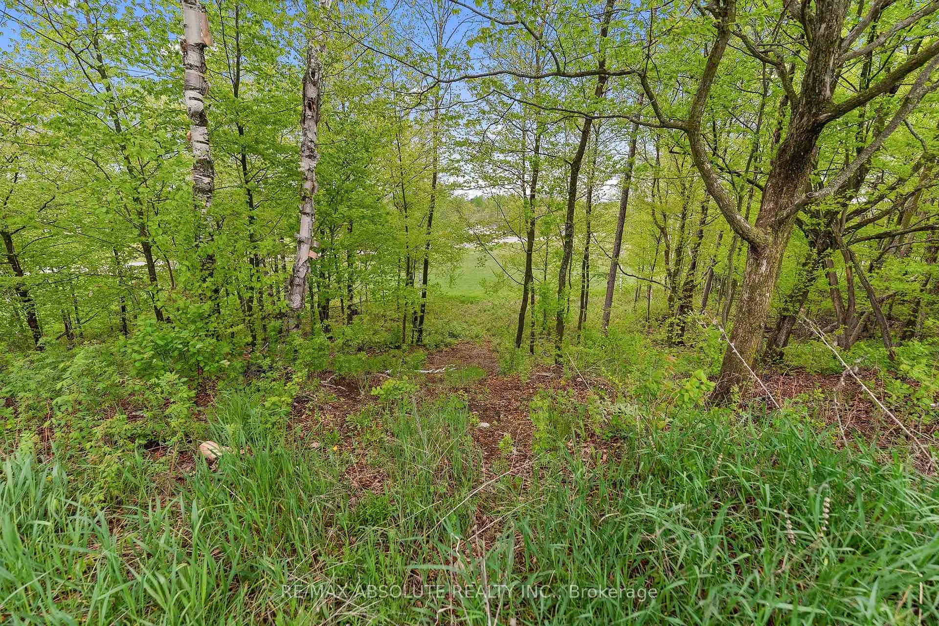 Photo 7 of 6 Lowe Court, Whitewater Region, Beachburg — HOMEH