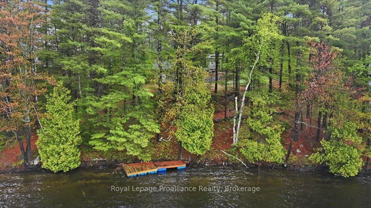 Photo of 1419 Turtle Lake Lane