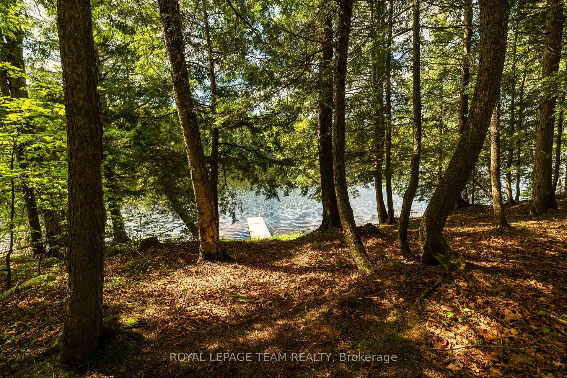 Photo 42 of 626B Umpherson's Mill Road, Lanark Highlands, Lanark Highlands (Dalhousie) Twp — HOMEH
