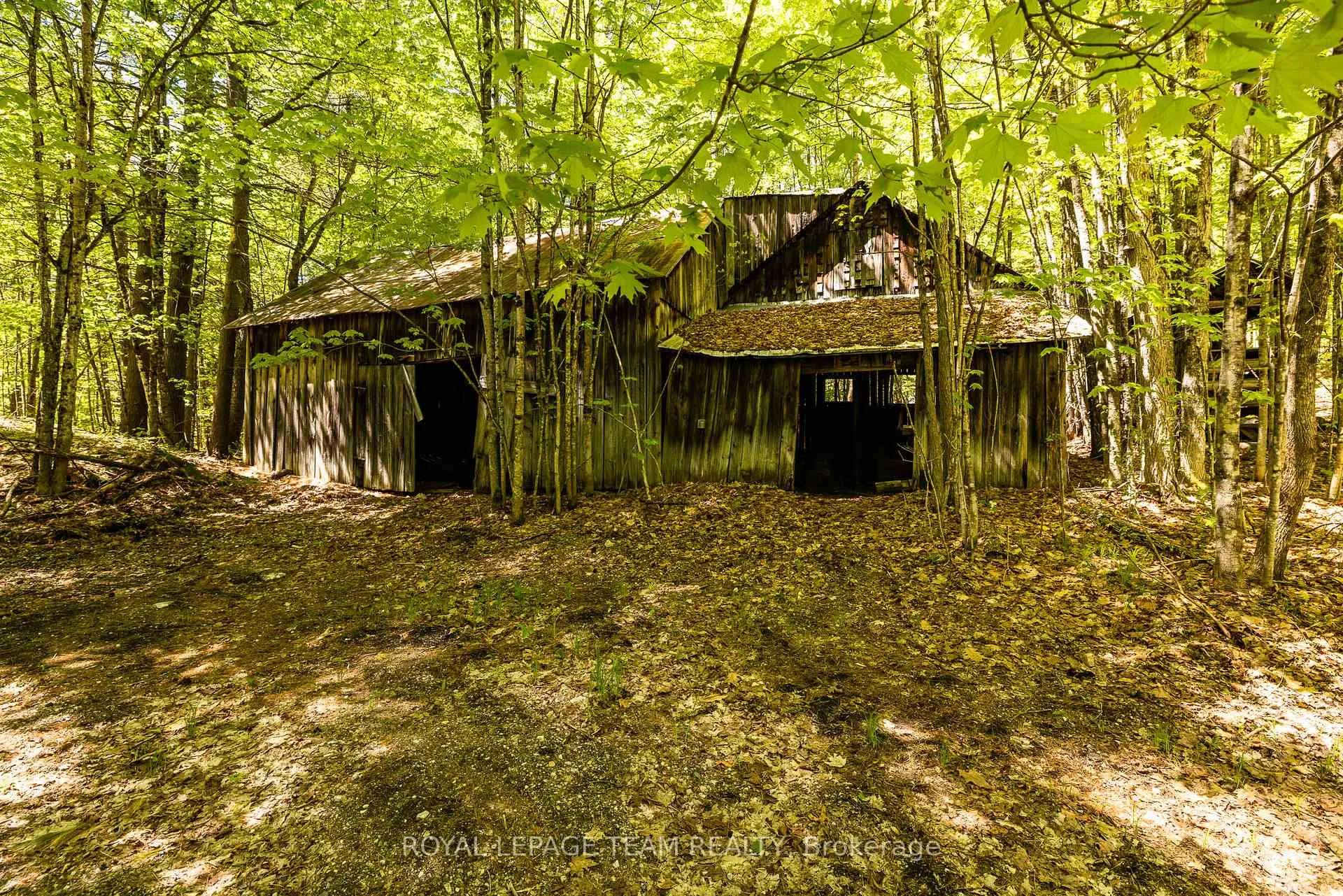 Photo 49 of 626B Umpherson's Mill Road, Lanark Highlands, Lanark Highlands (Dalhousie) Twp — HOMEH