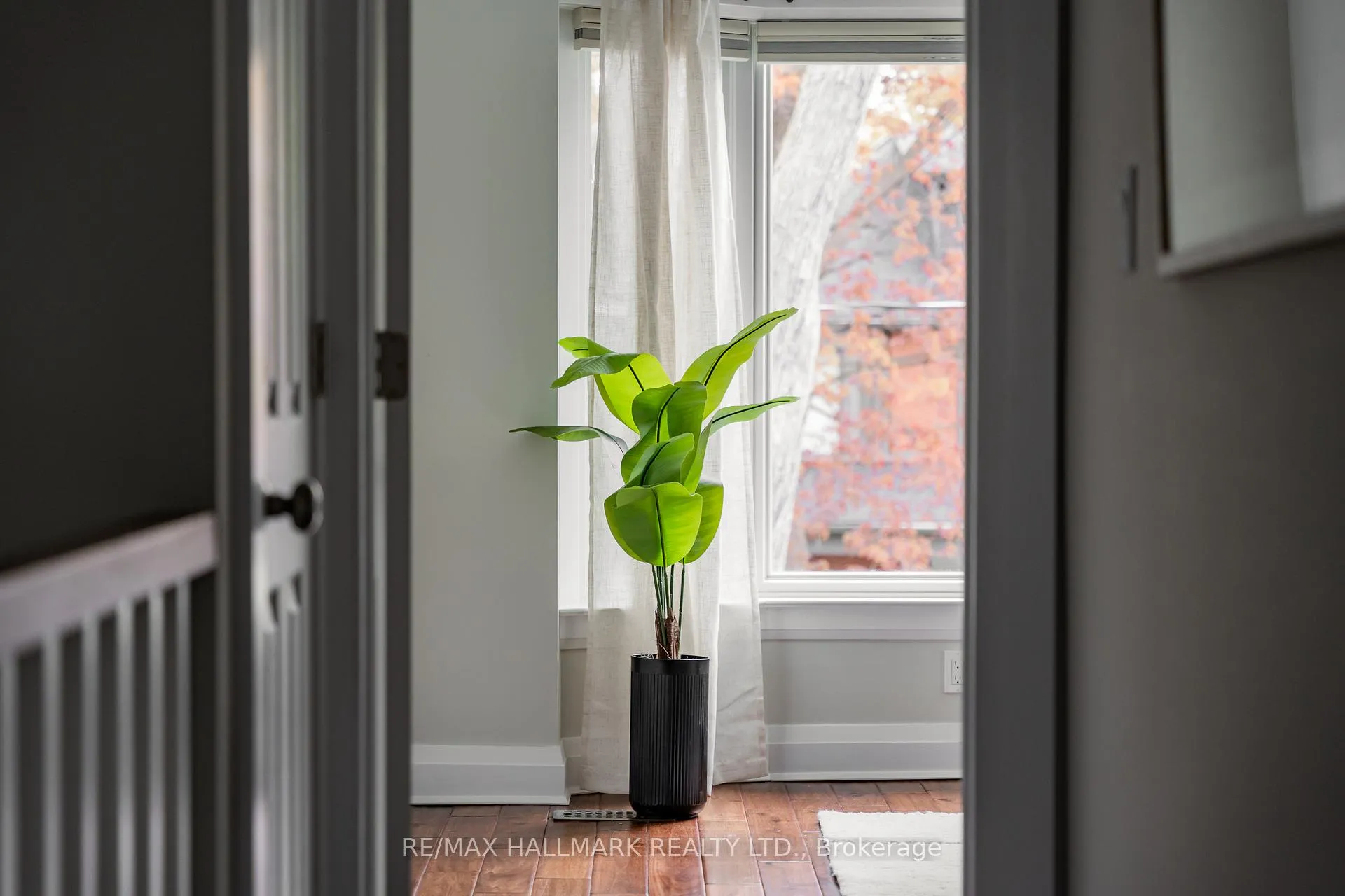 Photo 12 of 4 Wayland Avenue, Toronto, East End-Danforth — HOMEH