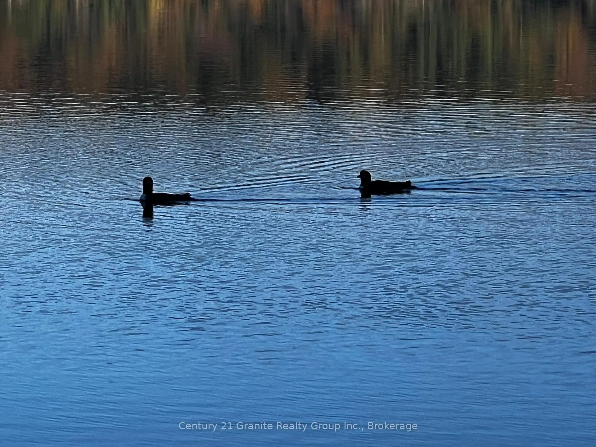 Photo 2 of 1141 Kanawa Lane, Algonquin Highlands, Stanhope — HOMEH