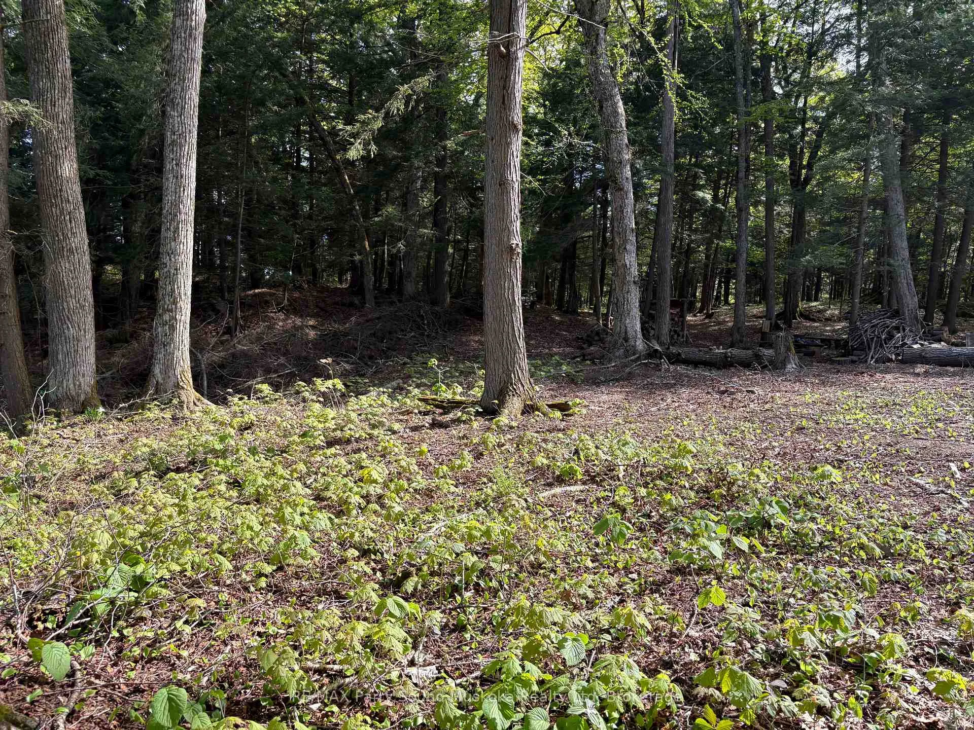 Photo 6 of 9 Sunnyshore Park Drive, McKellar — HOMEH