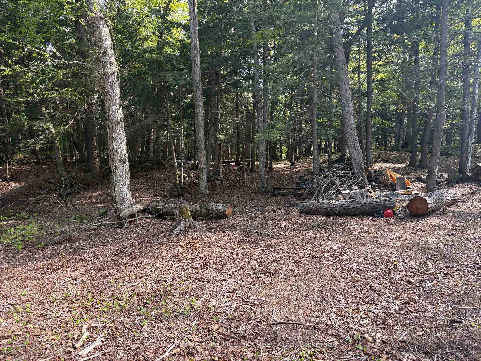 Photo 10 of 9 Sunnyshore Park Drive, McKellar — HOMEH