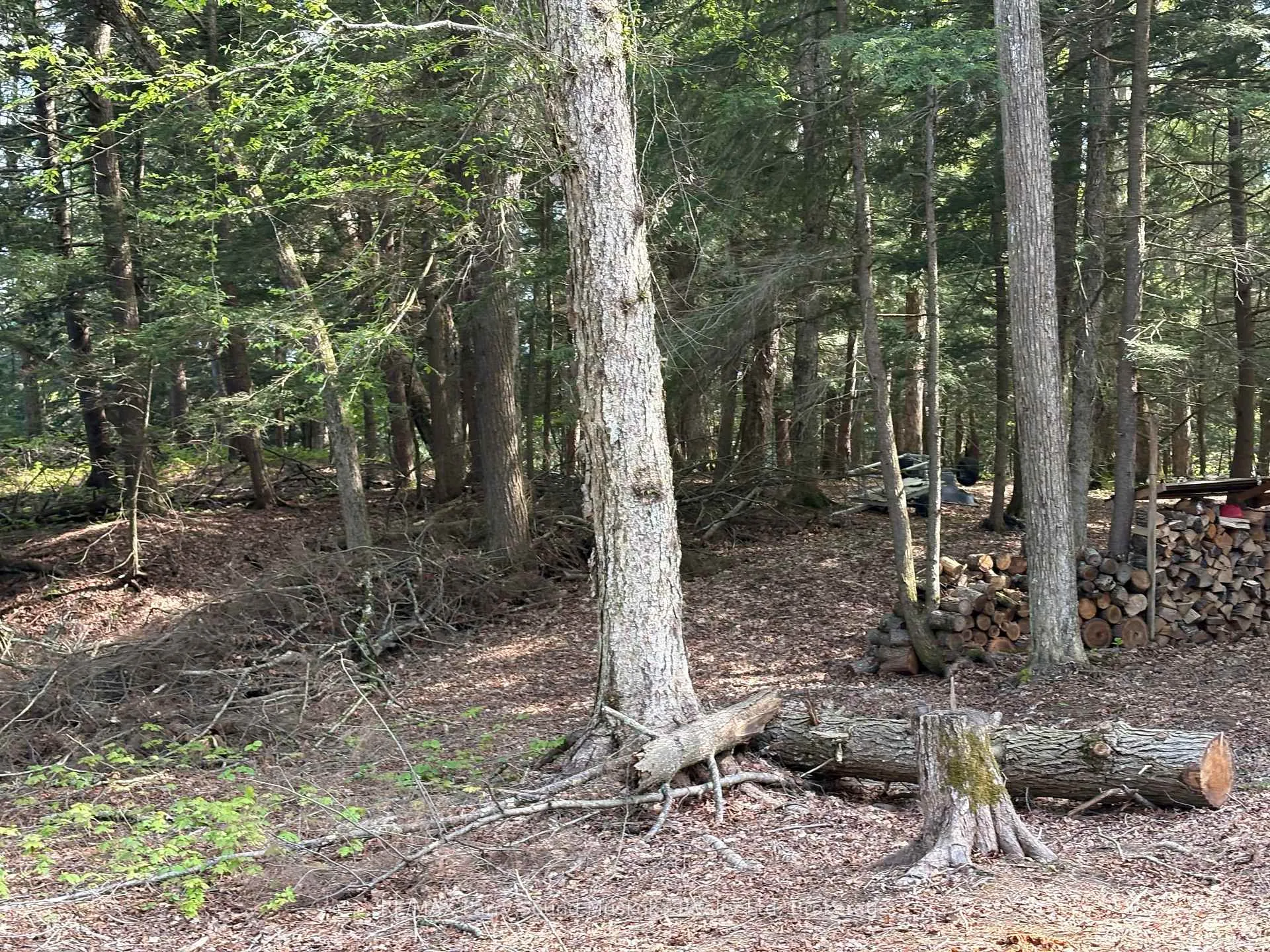 Photo 11 of 9 Sunnyshore Park Drive, McKellar — HOMEH