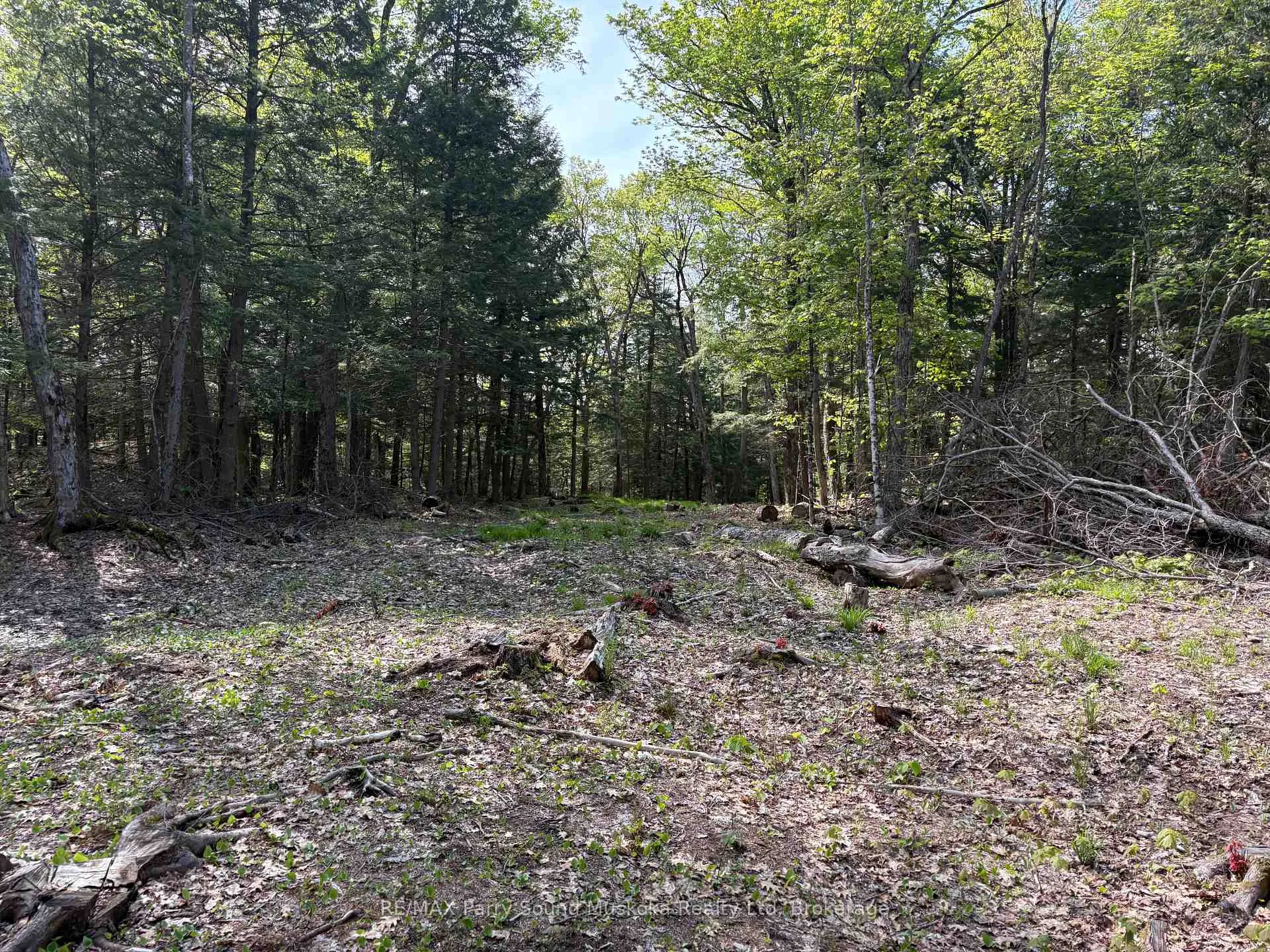 Photo 12 of 9 Sunnyshore Park Drive, McKellar — HOMEH