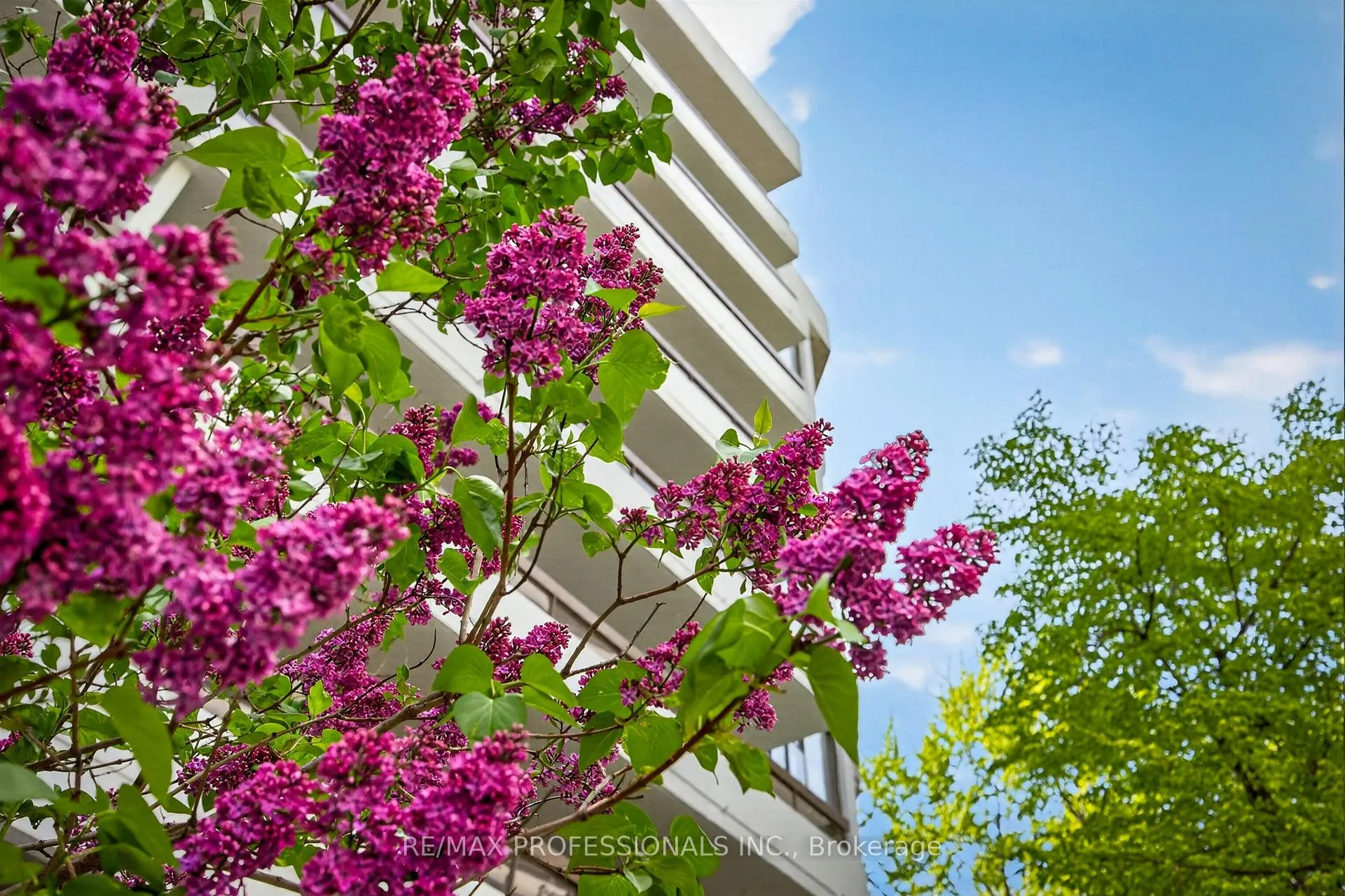 Photo 1 of Unit 122, 80 Quebec Avenue, Toronto, High Park North — HOMEH