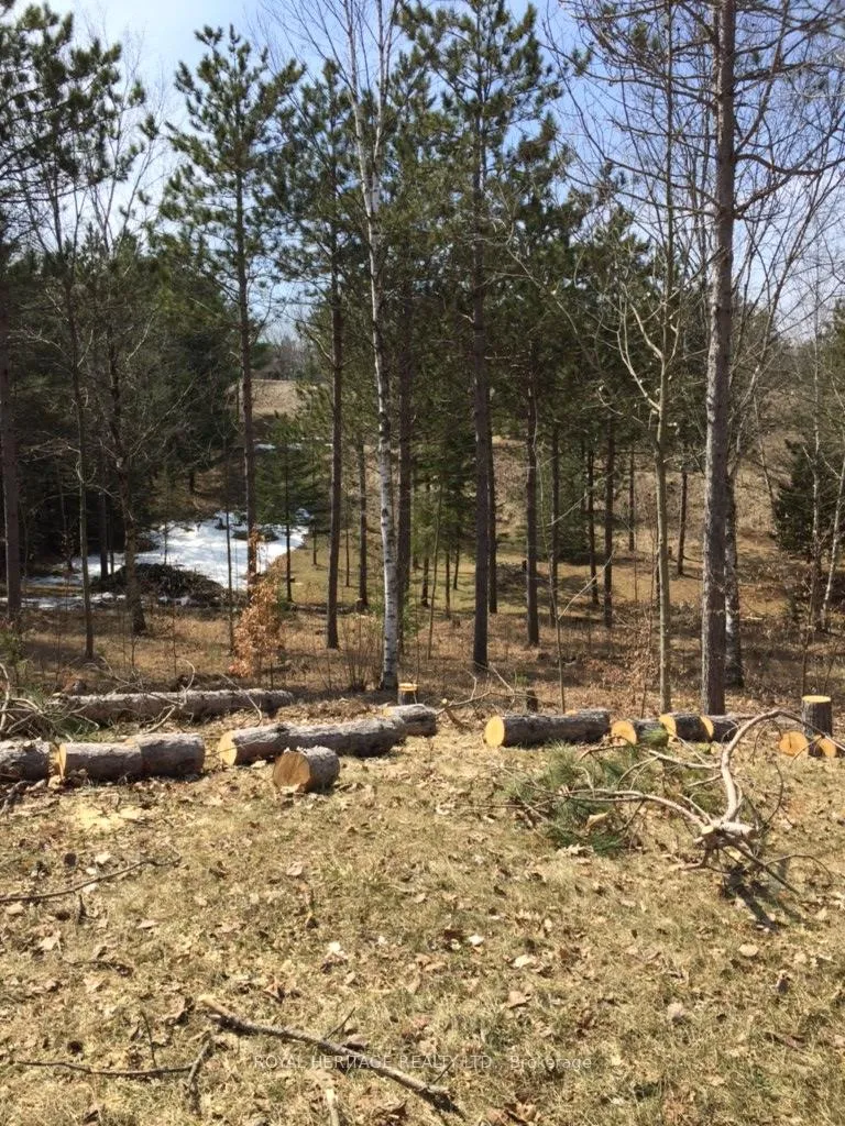 Photo 32 of 6677 Concession 2 Road, Uxbridge, Rural Uxbridge — HOMEH