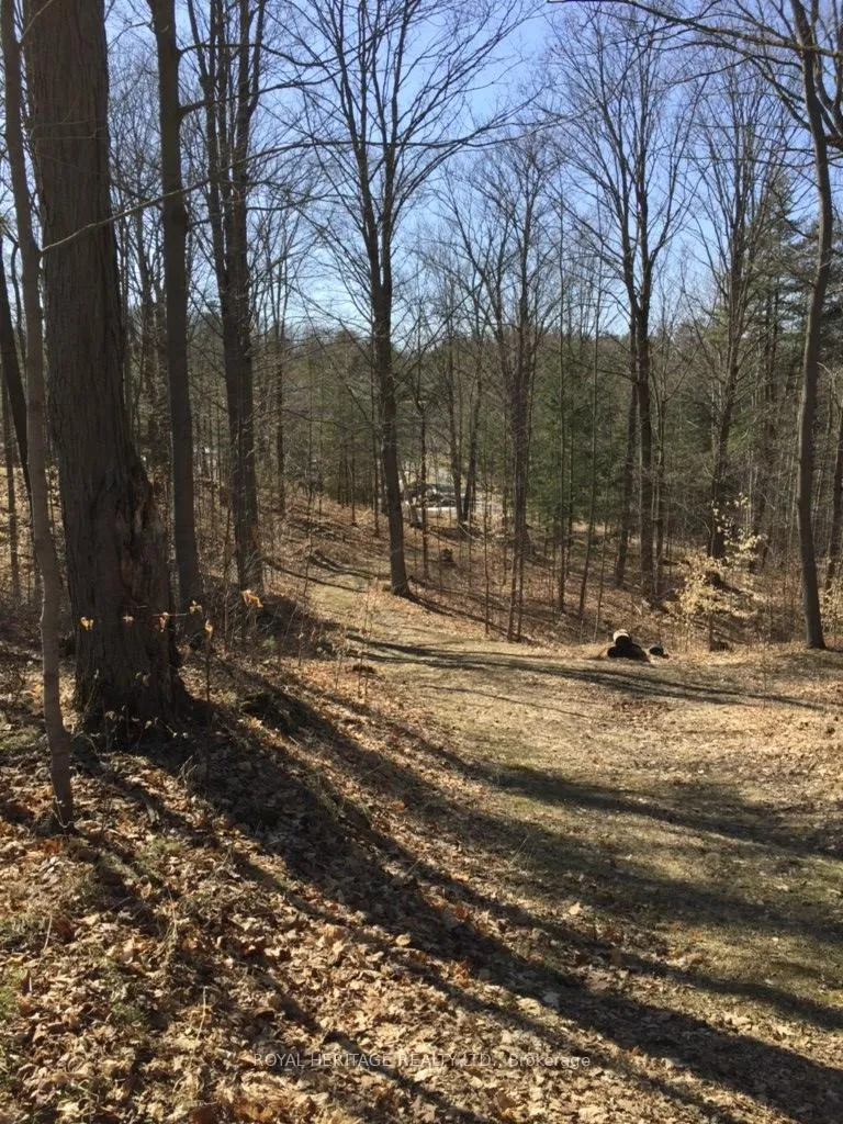 Photo 33 of 6677 Concession 2 Road, Uxbridge, Rural Uxbridge — HOMEH