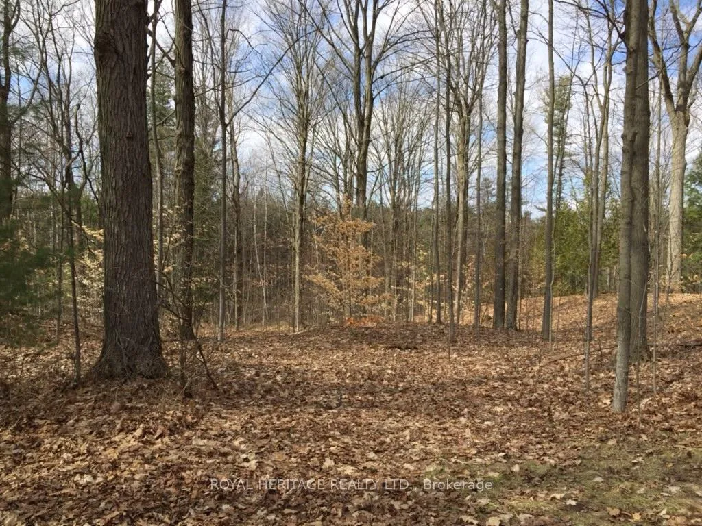 Photo 45 of 6677 Concession 2 Road, Uxbridge, Rural Uxbridge — HOMEH