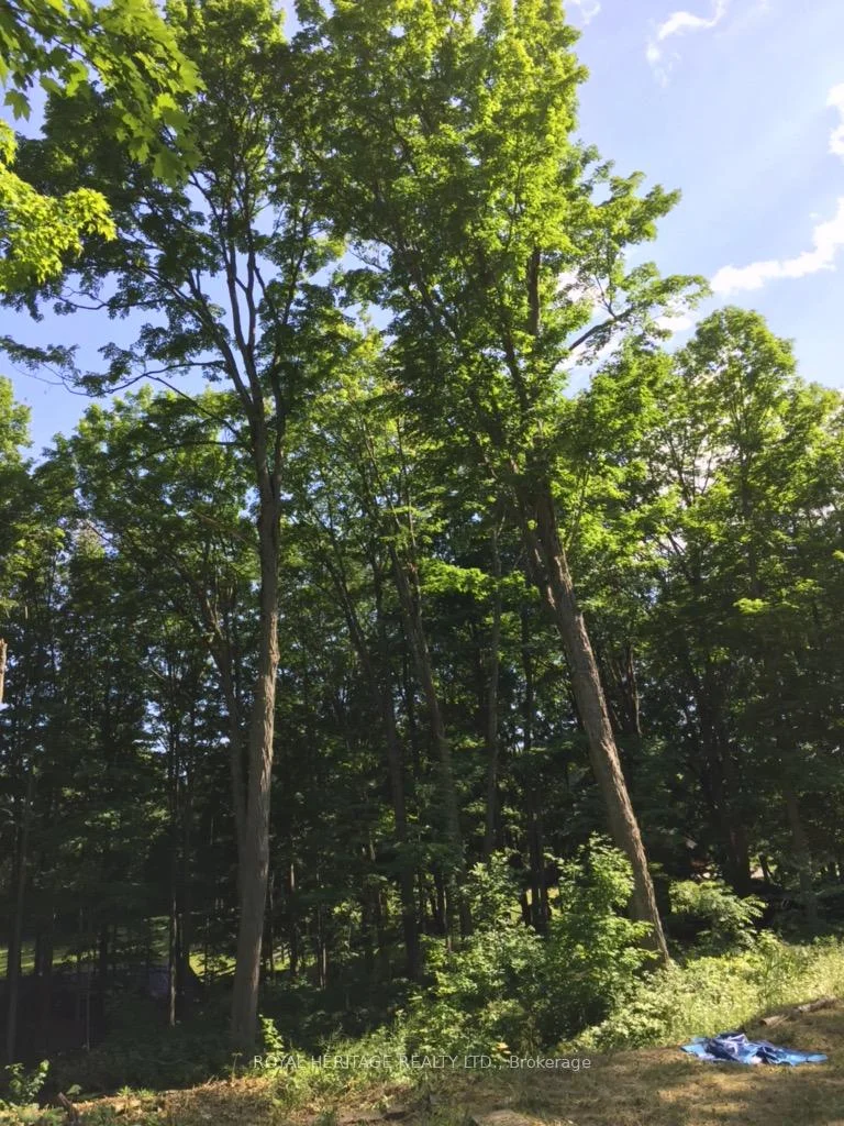 Photo 15 of 6677 Concession 2 Road, Uxbridge, Rural Uxbridge — HOMEH
