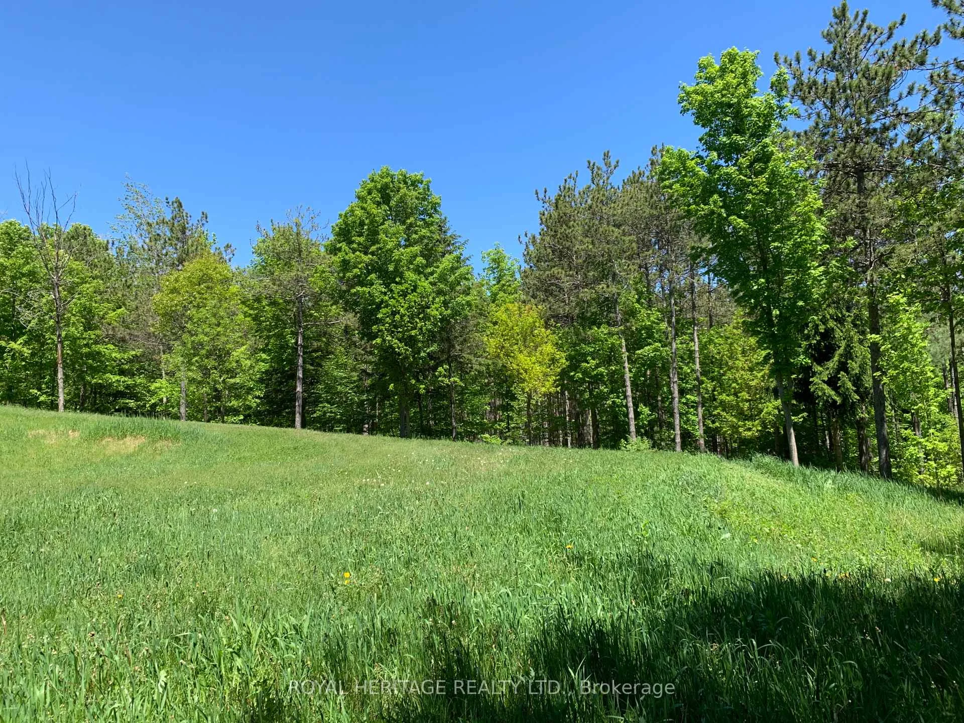 Photo 59 of 6677 Concession 2 Road, Uxbridge, Rural Uxbridge — HOMEH