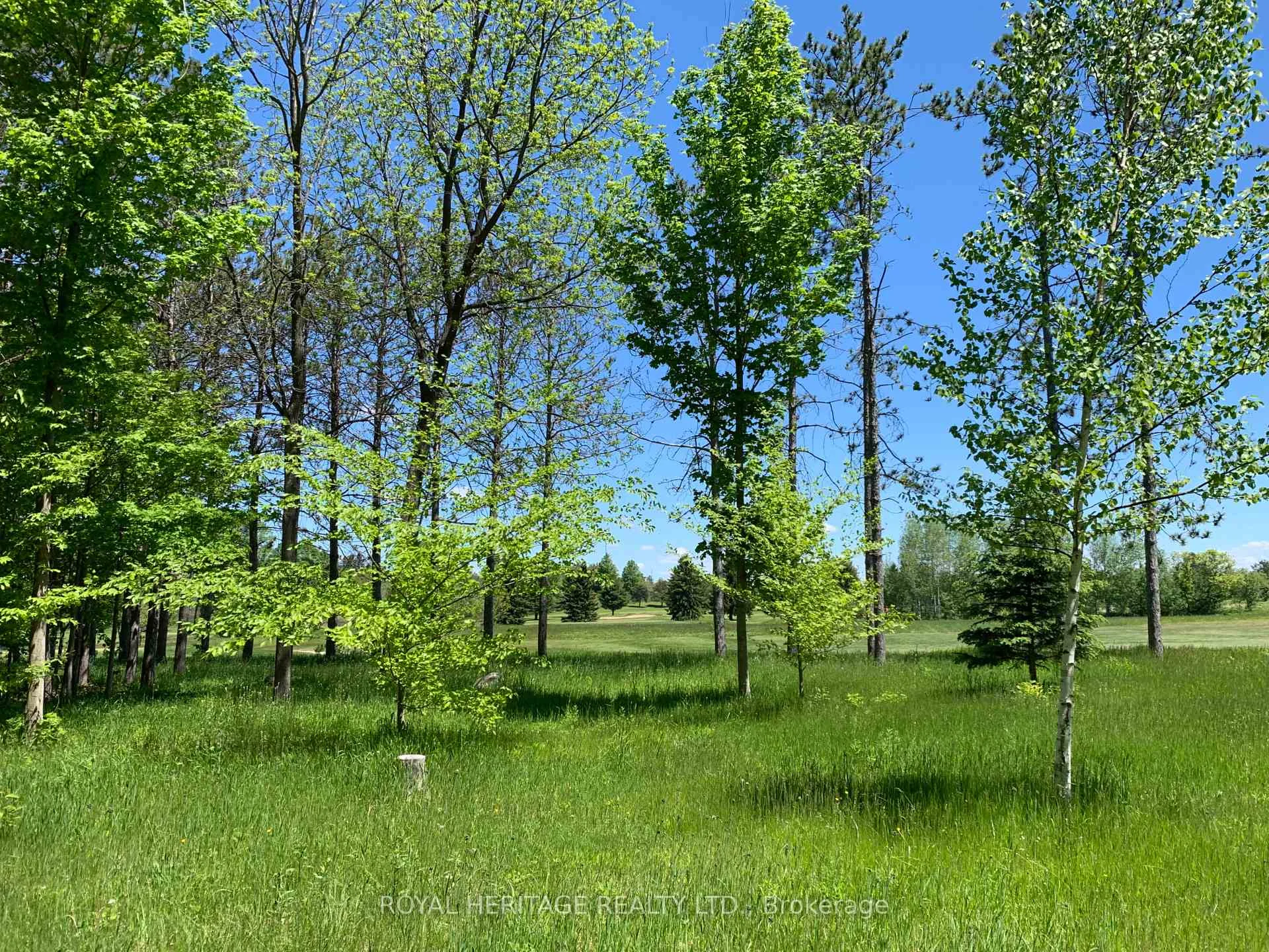 Photo 62 of 6677 Concession 2 Road, Uxbridge, Rural Uxbridge — HOMEH