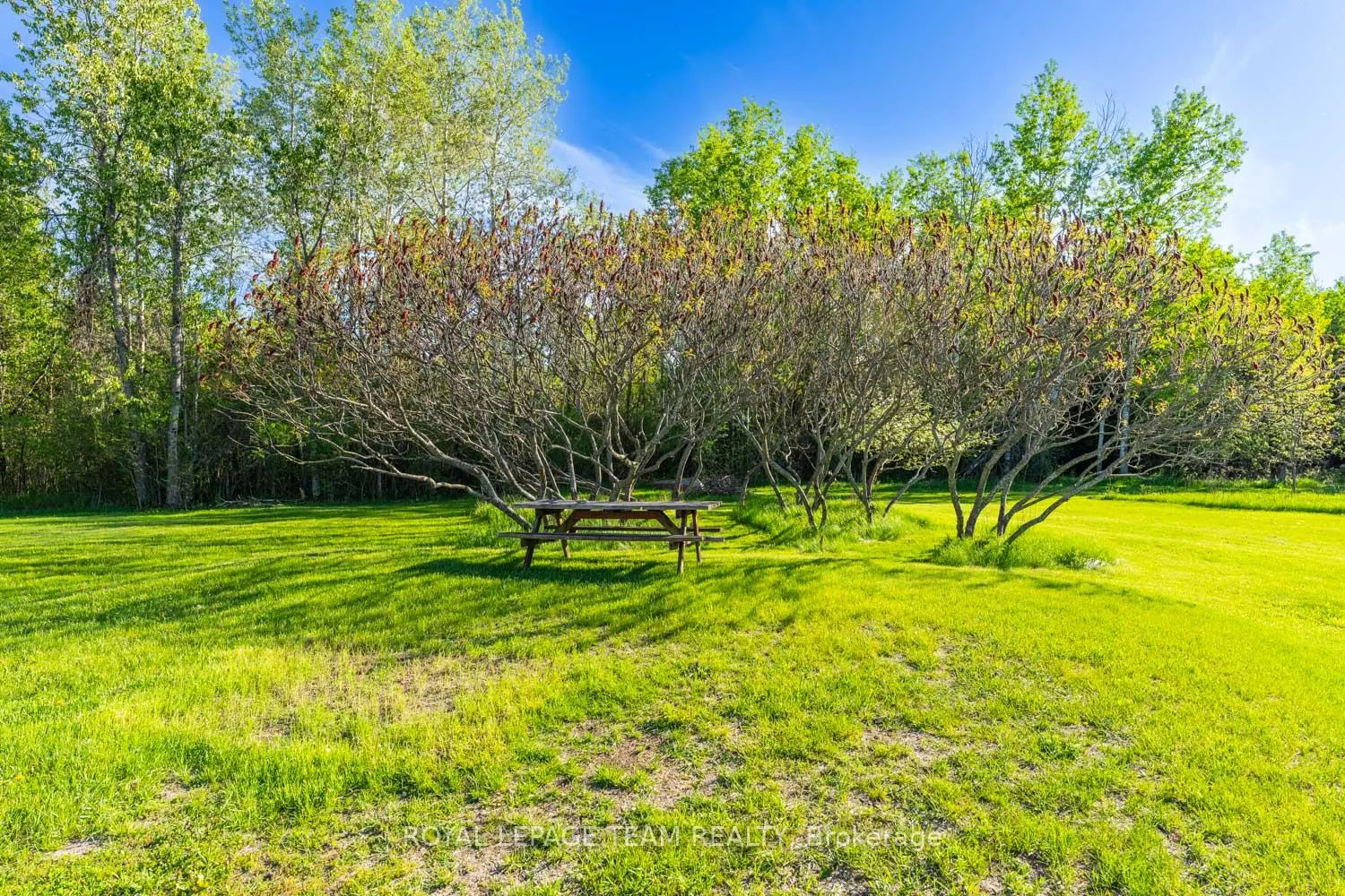 Photo 15 of 663 Beavertail Road, Ottawa, Huntley Ward (South West) — HOMEH