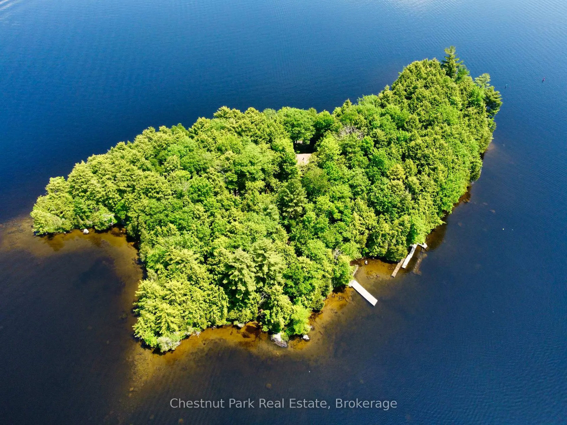 Photo of 1 Cedar Island