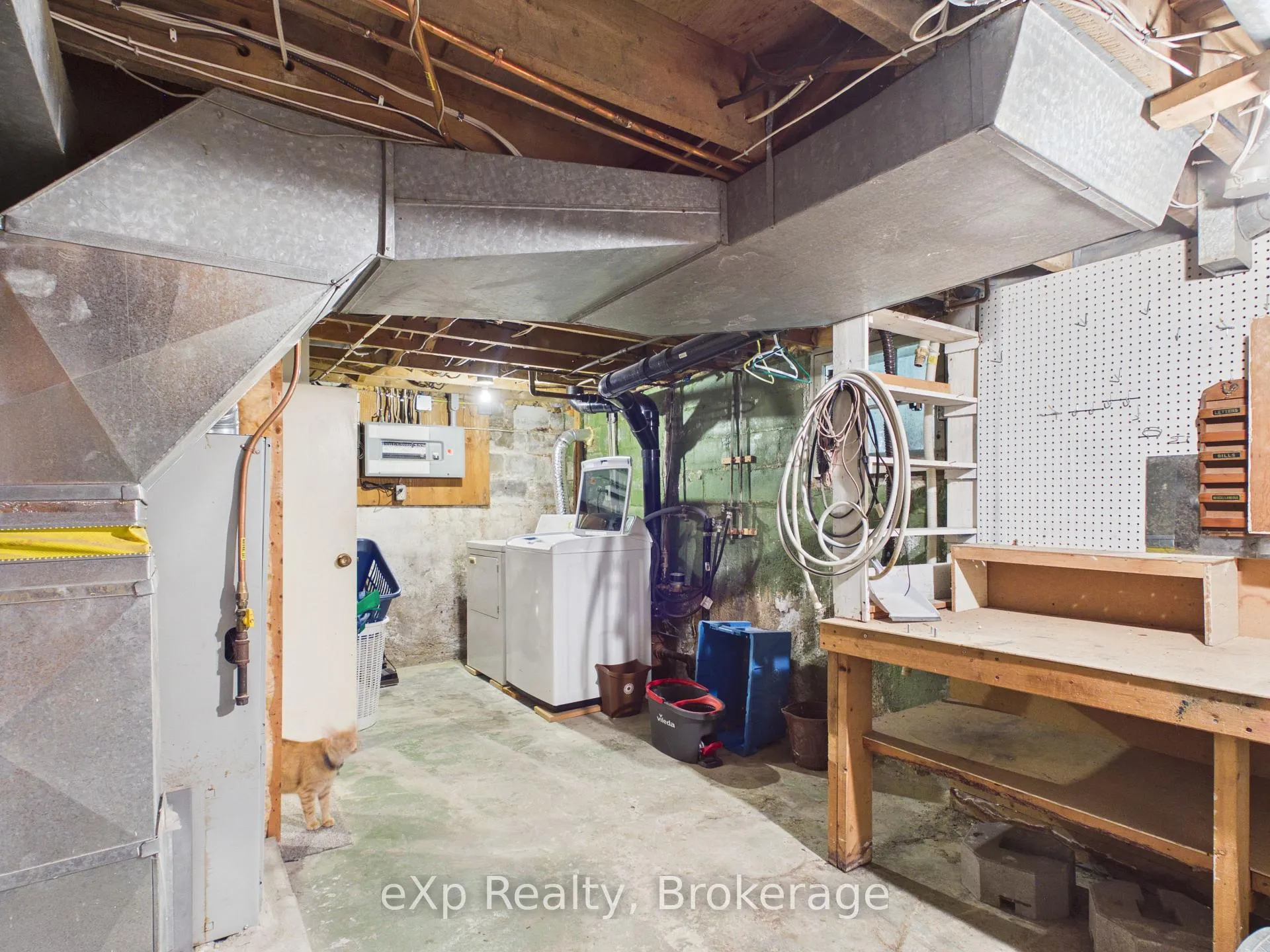 Photo 25 of 419 Colborne Street, Brockton — HOMEH