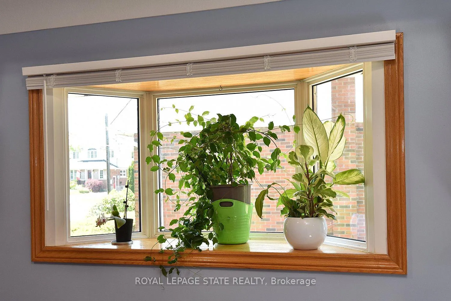 Photo 16 of 10 Alderney Avenue, Hamilton, Hill Park — HOMEH