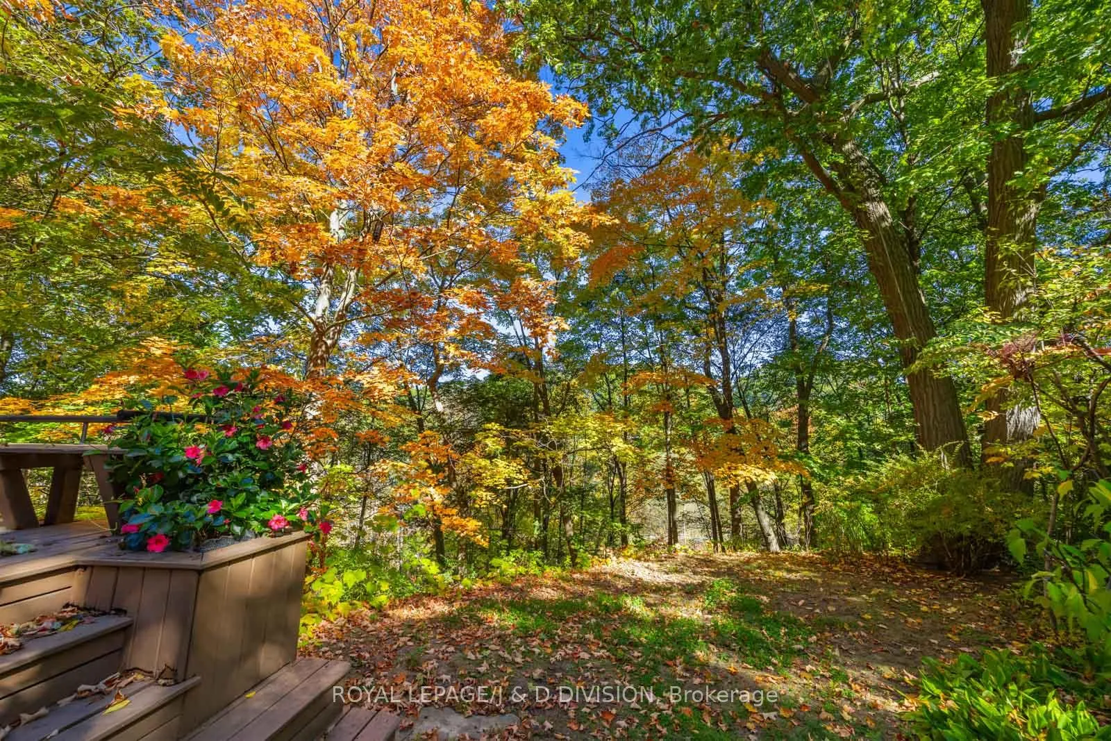 Photo 33 of 183 Hudson Drive, Toronto, Rosedale-Moore Park — HOMEH